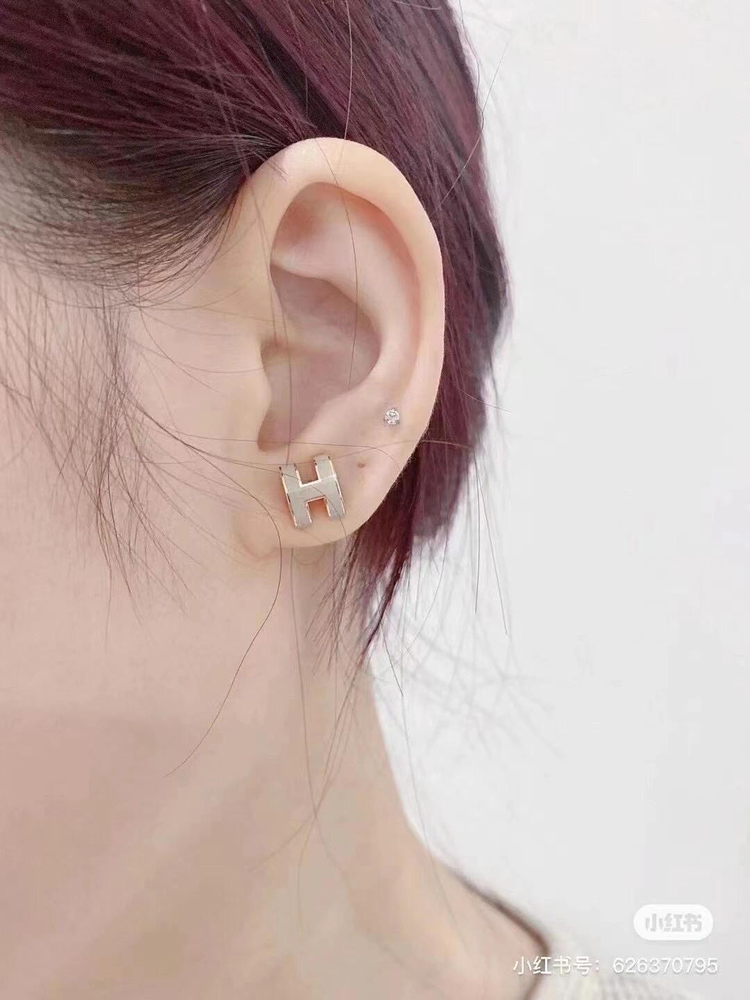Hermes earrings-45