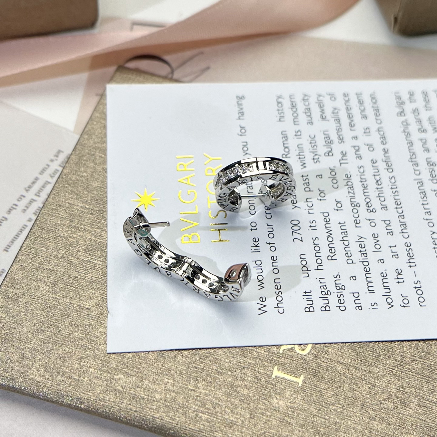 Bottega Veneta earrings-24