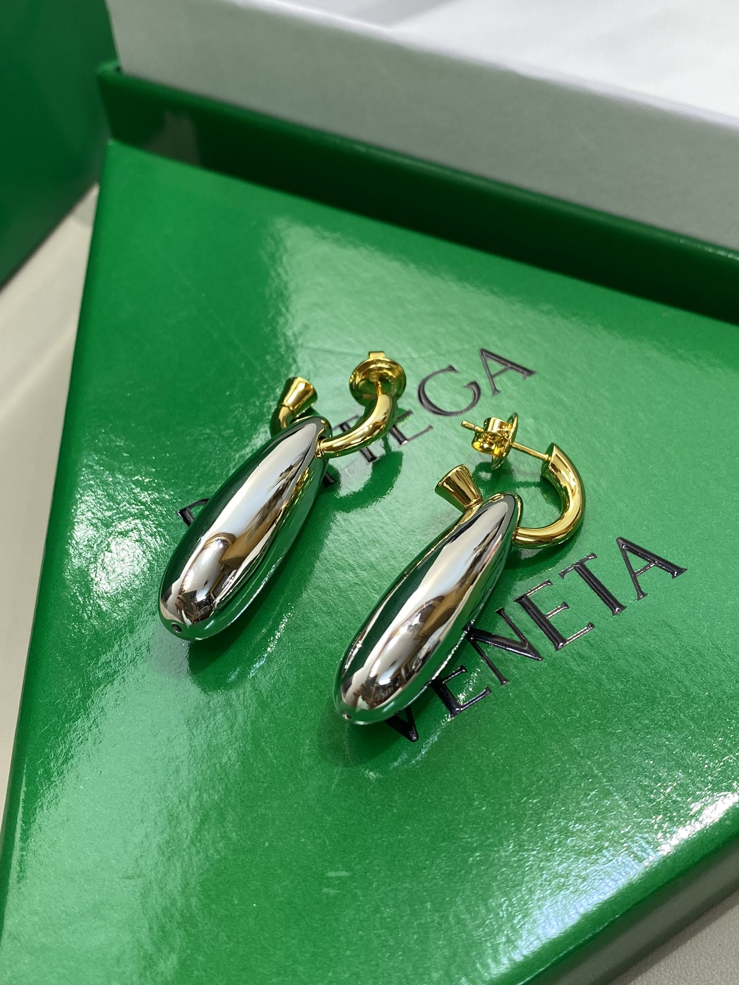Bottega Veneta earrings-70