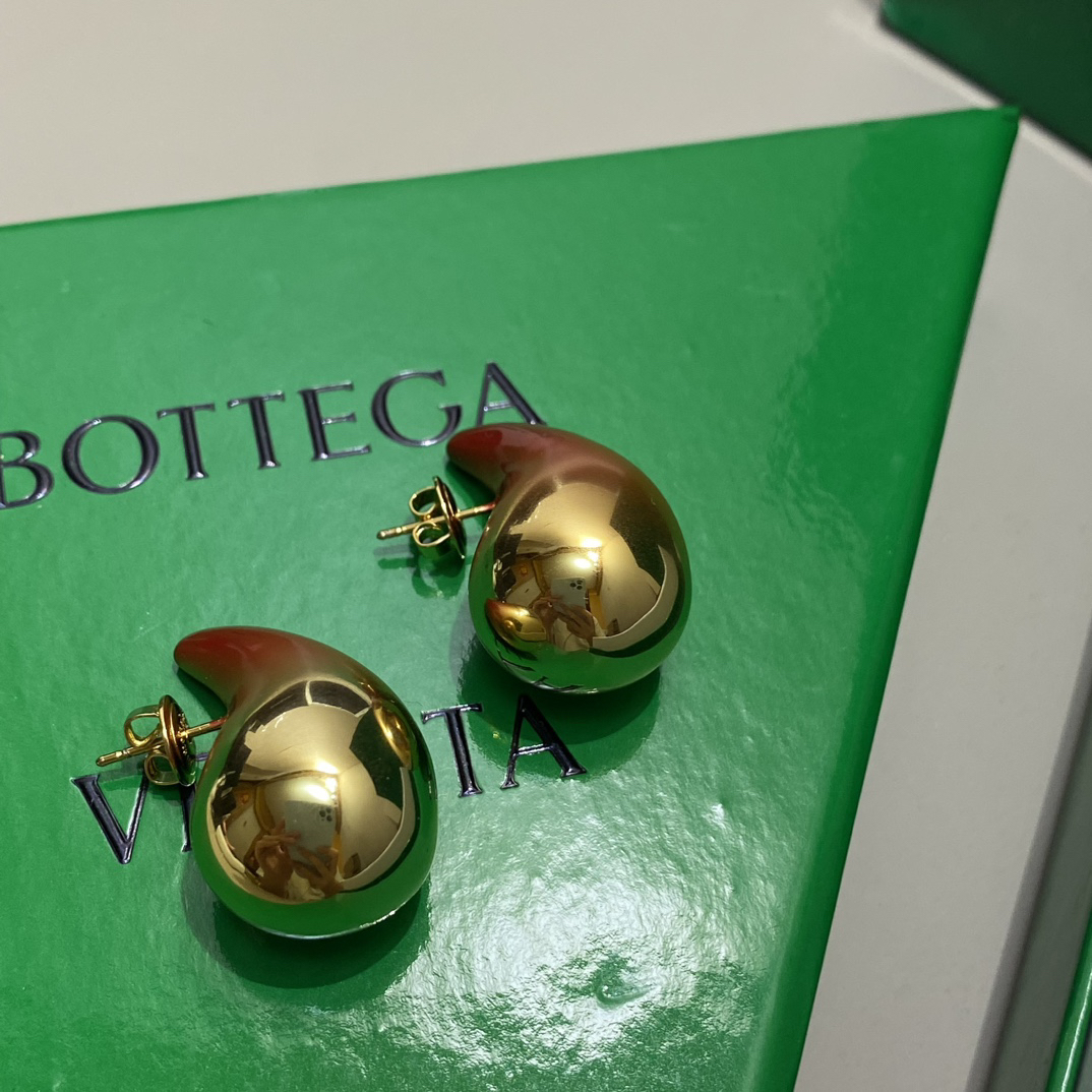 Bottega Veneta earrings-15