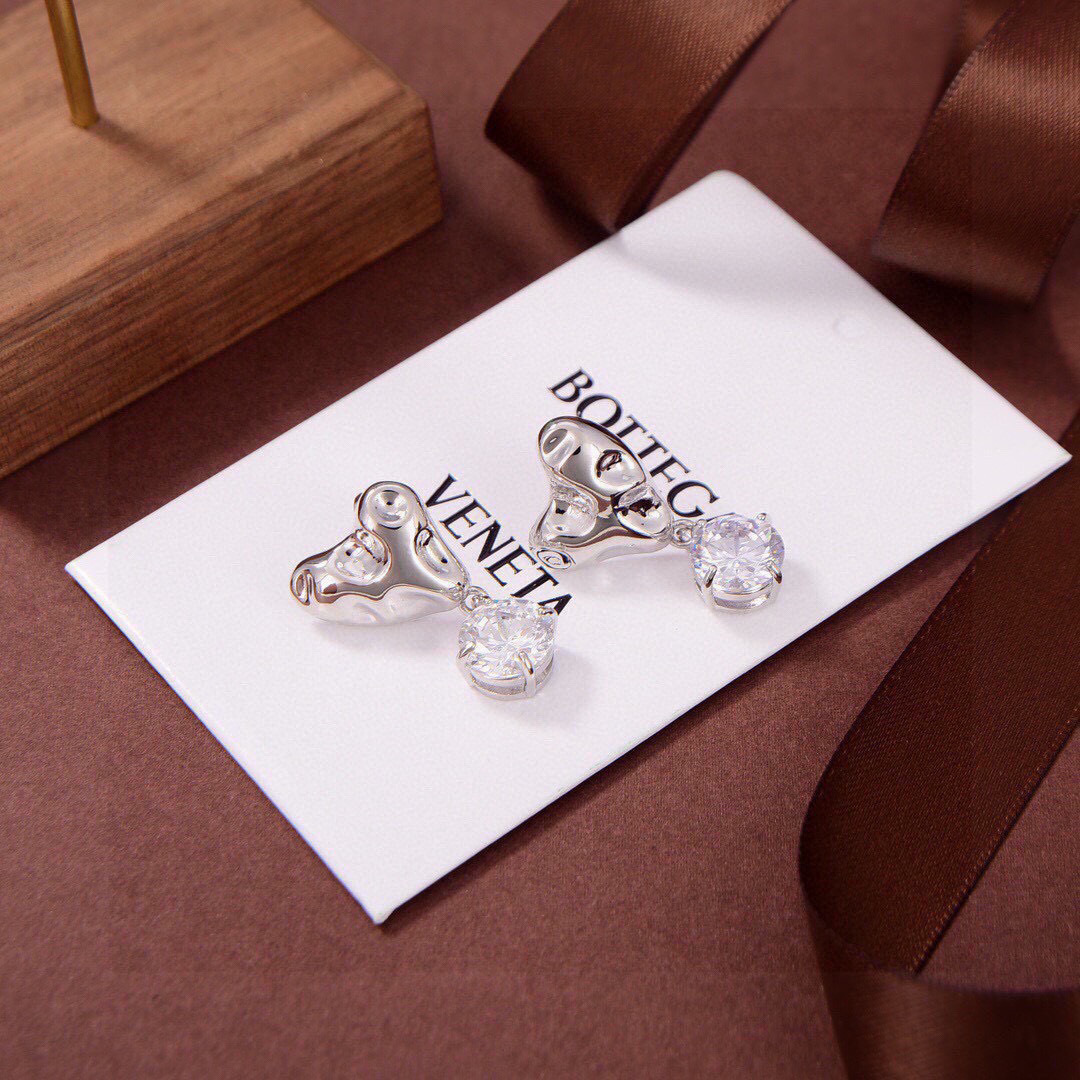 Bottega Veneta earrings-63