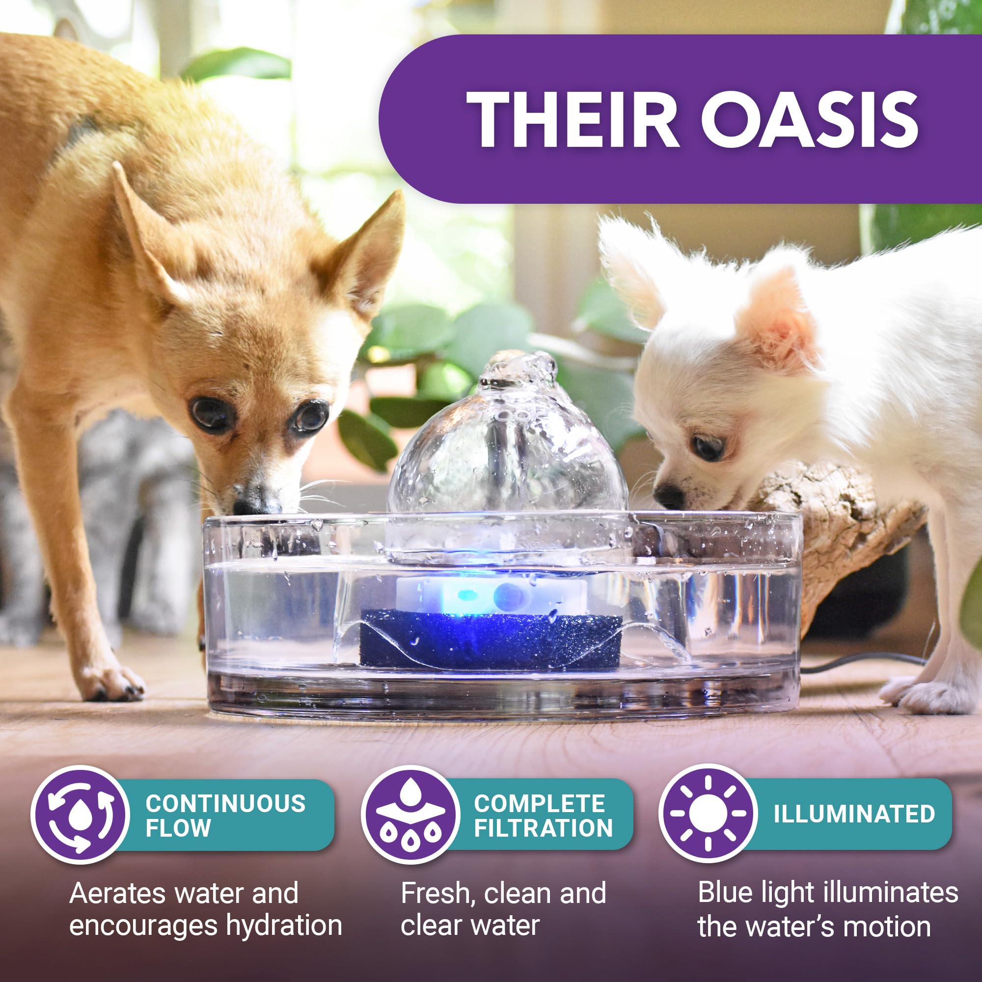 BROOK Glass Pet Fountain - 90oz Cat & Dog Water Dispenser