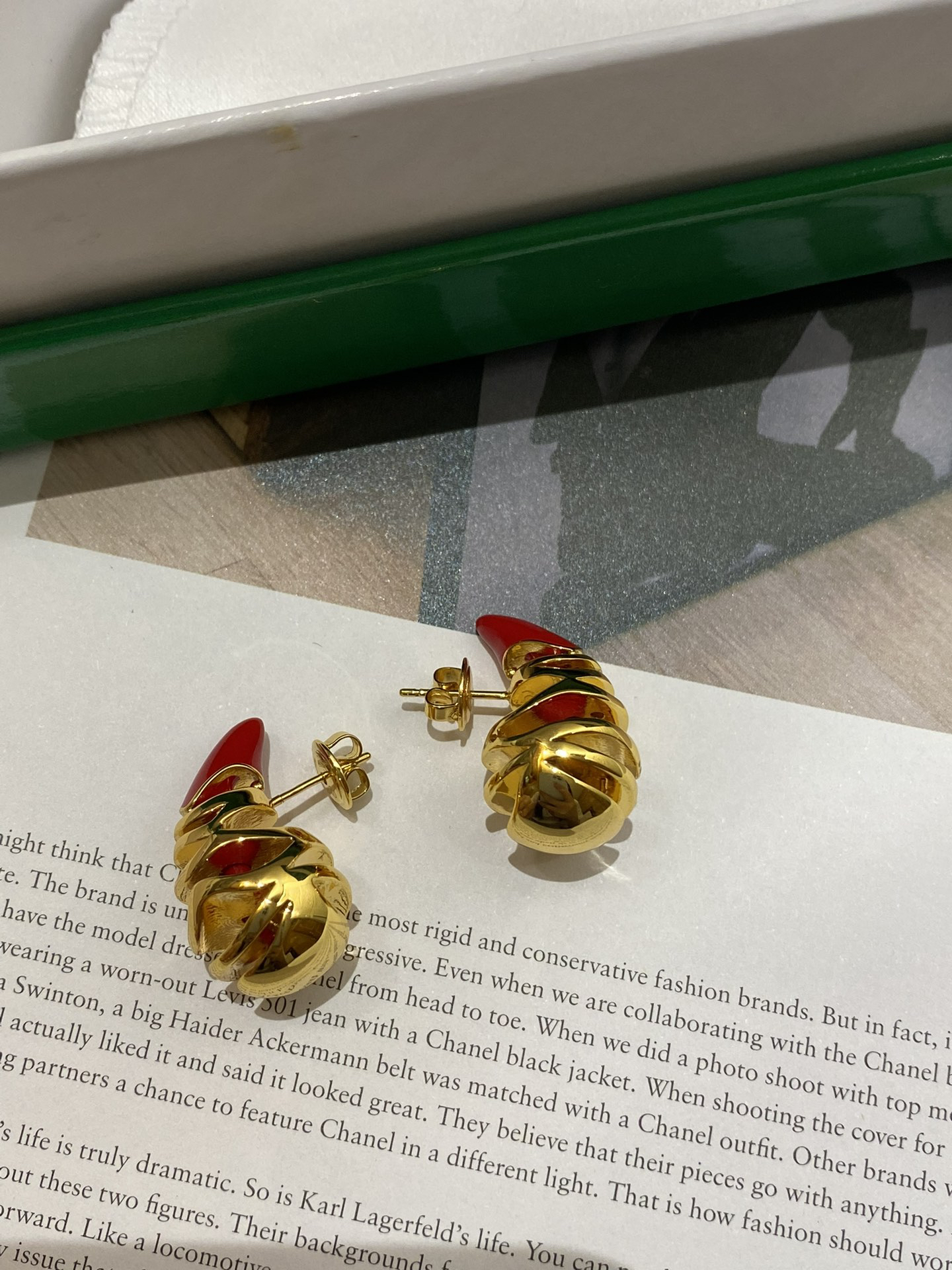Bottega Veneta earrings-50