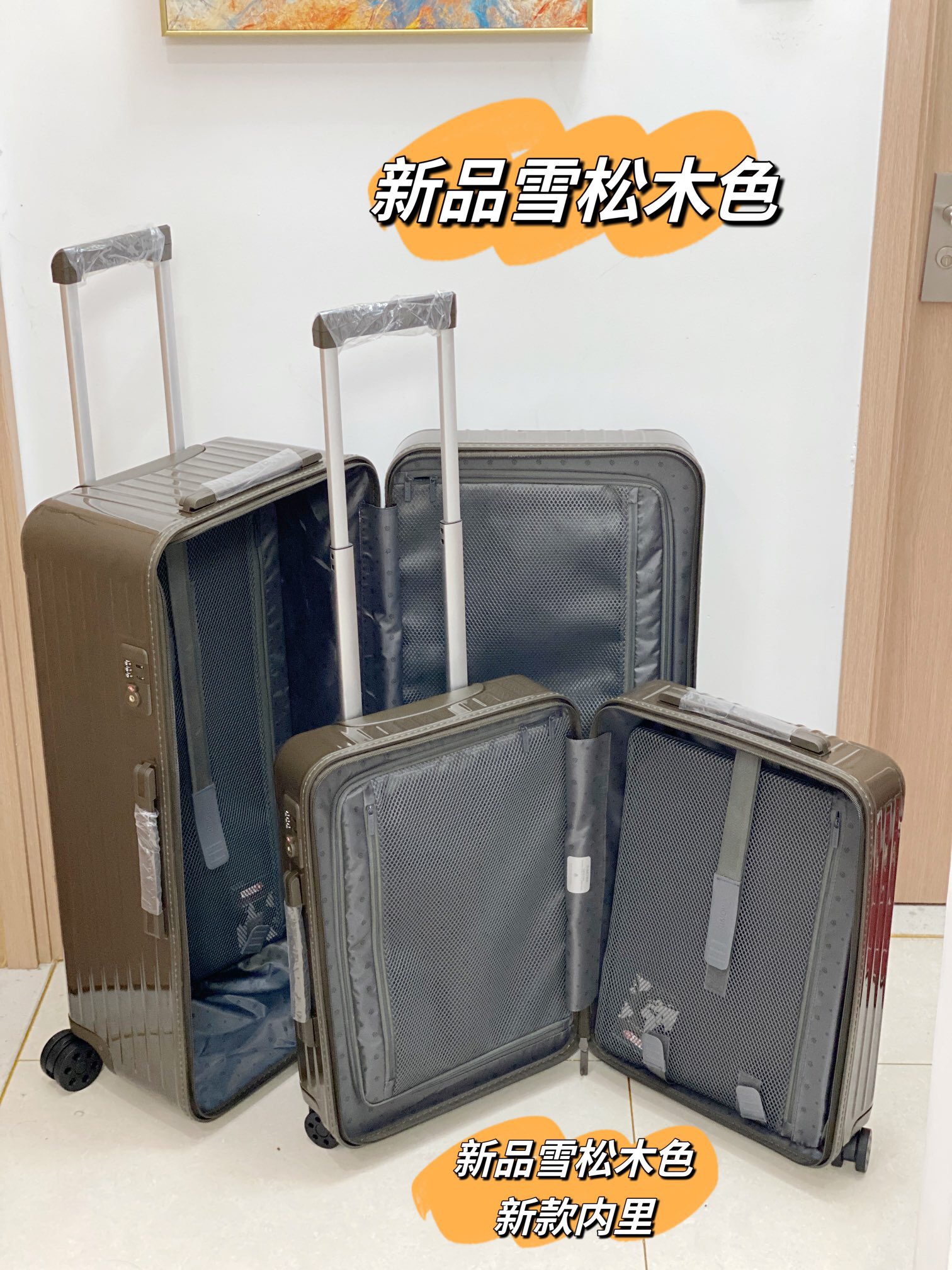 RIMOWA luggage-99