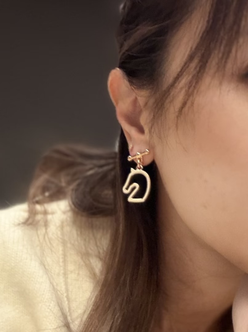 Hermes earrings-3