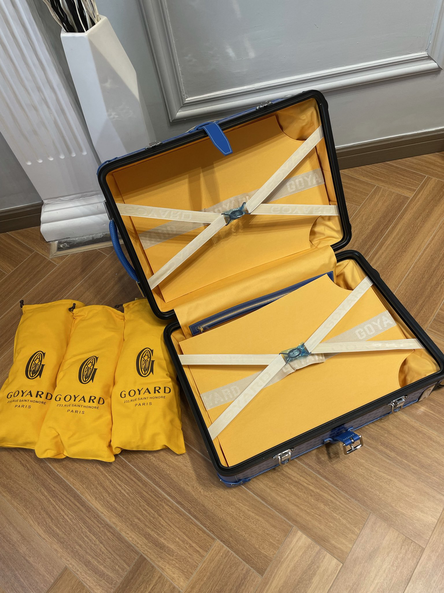 Goyard luggage-2