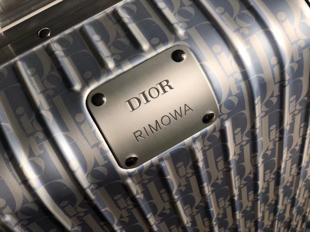 Dior luggage-8