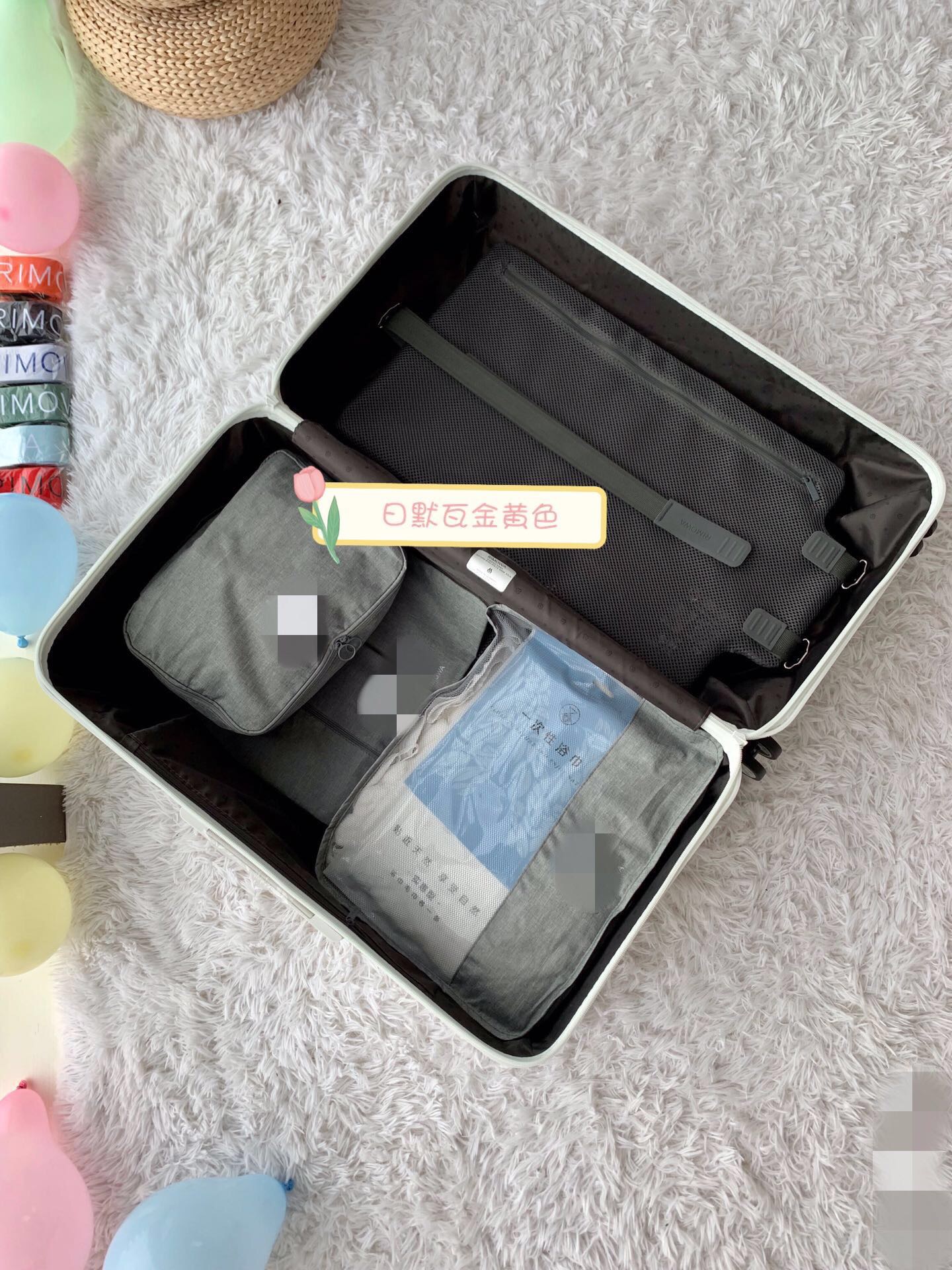 RIMOWA luggage-108