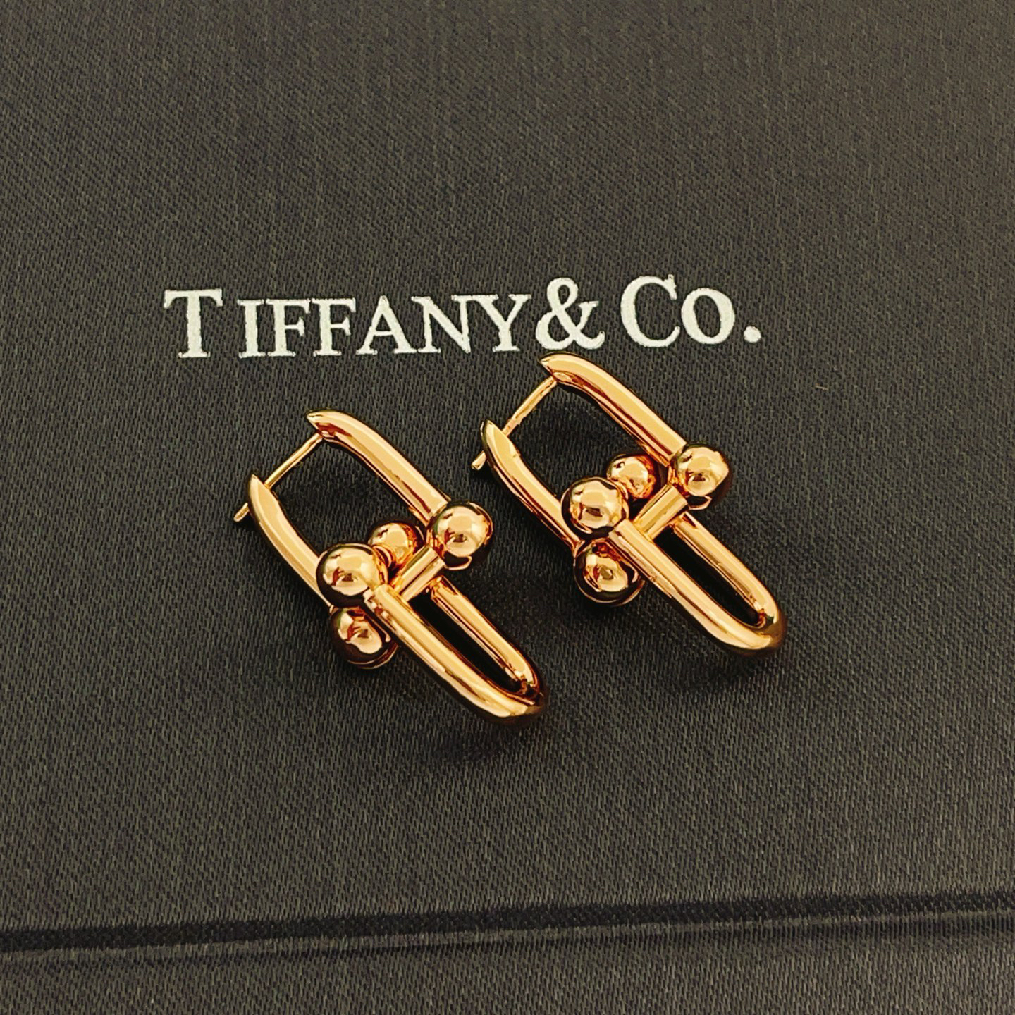 tiffany earrings-73