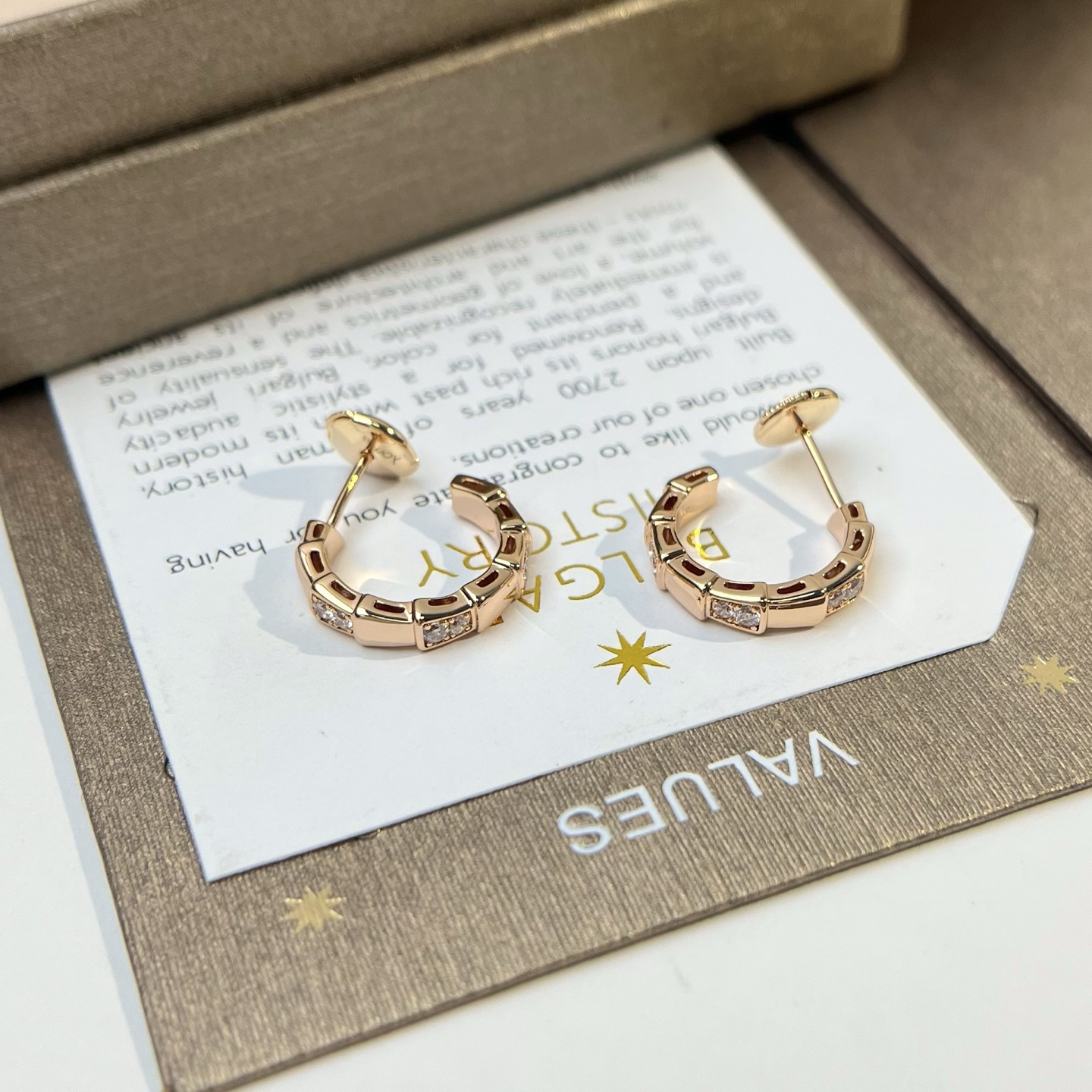 Bottega Veneta earrings-45