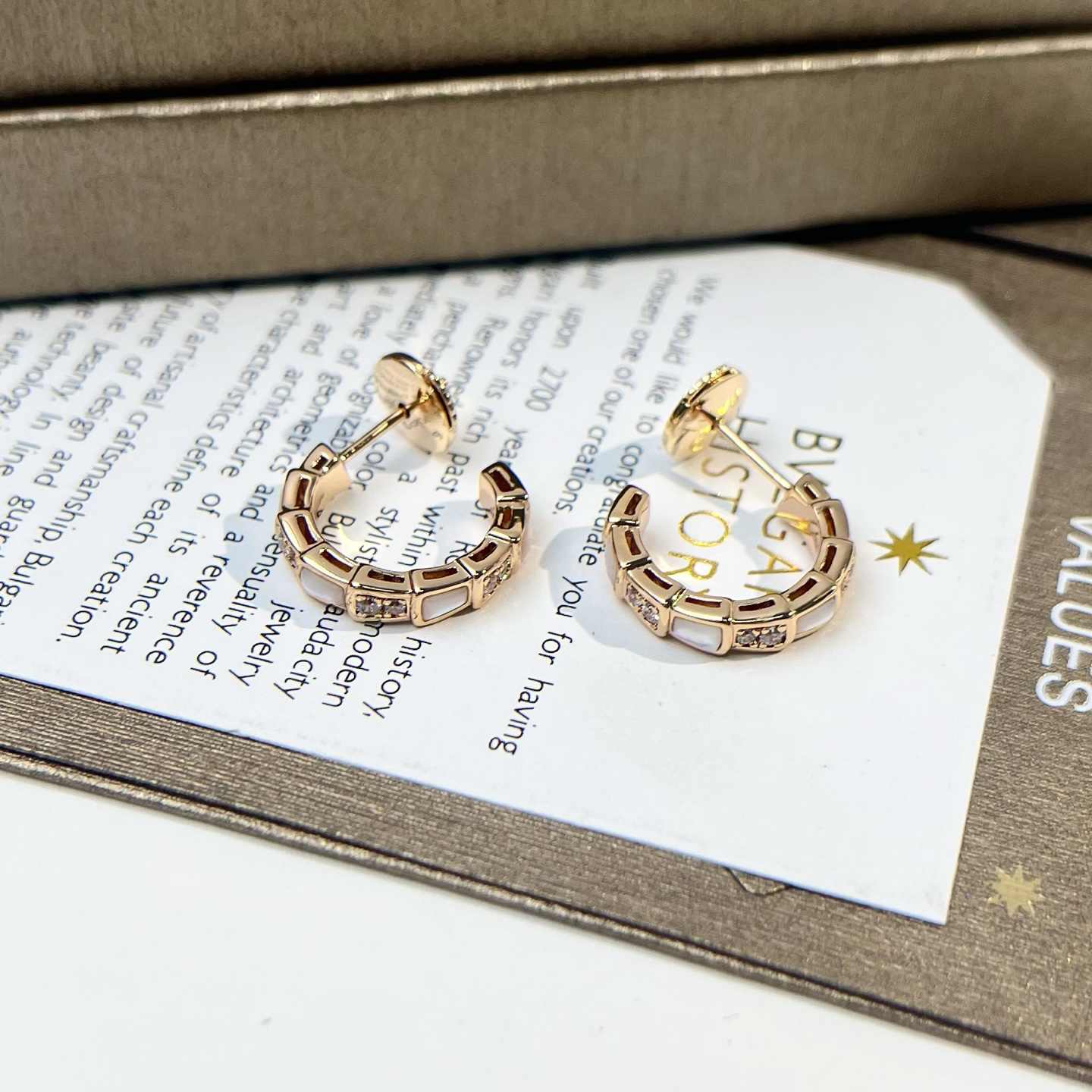 Bottega Veneta earrings-47