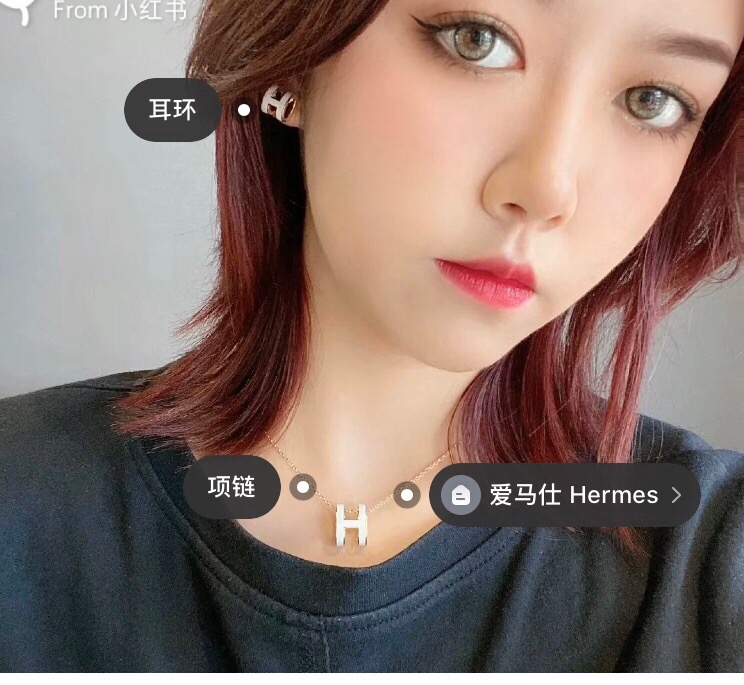 Hermes earrings-5