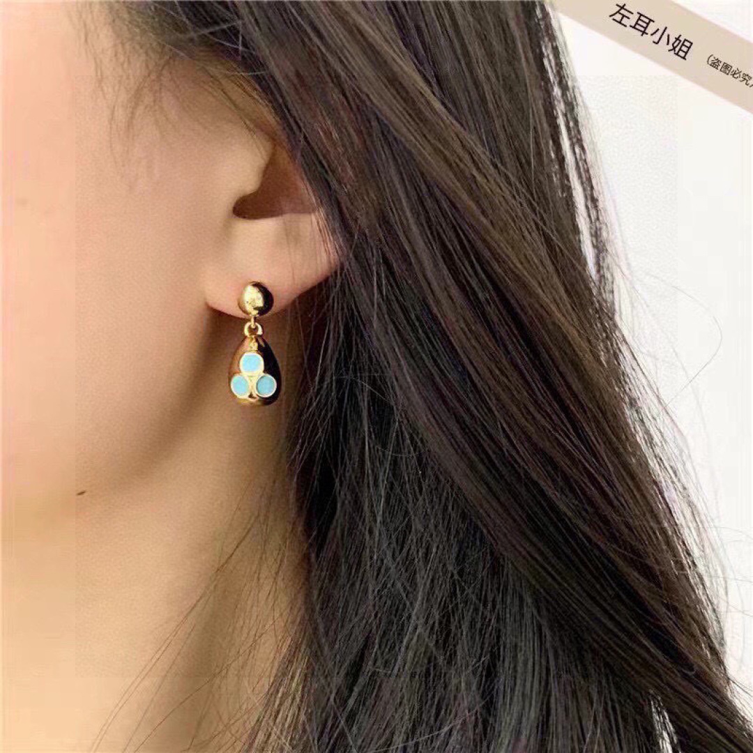 Bottega Veneta earrings-9