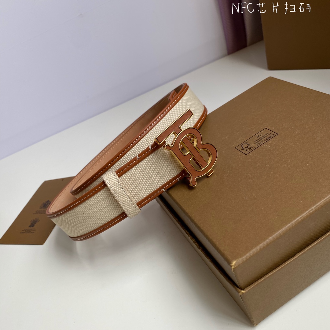 Burberry belt-2