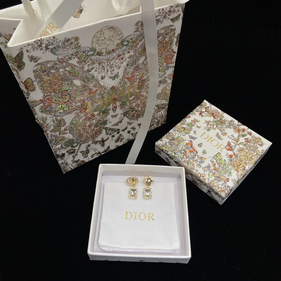 Dior earrings-48