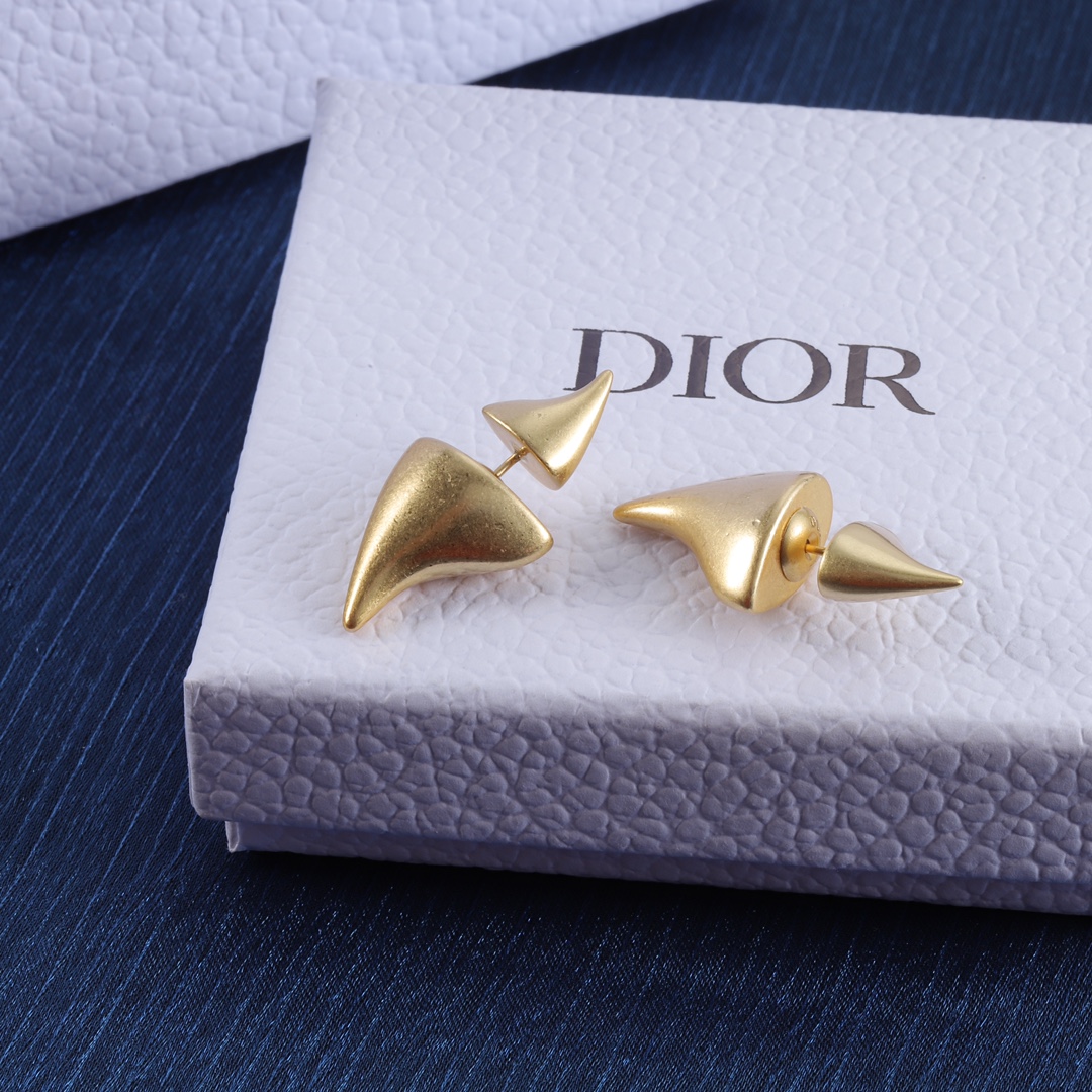 Dior earrings-51