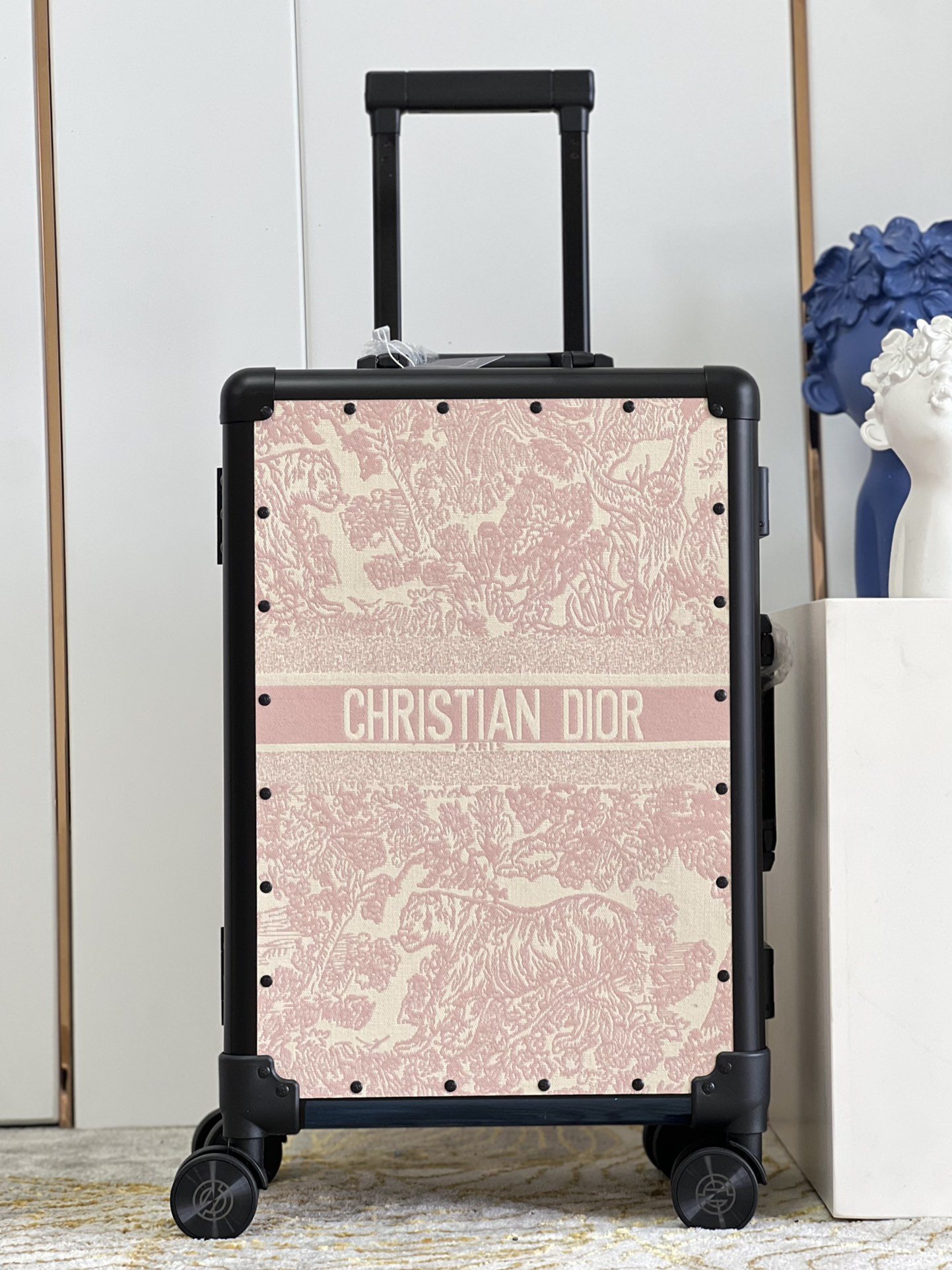 Dior luggage-32