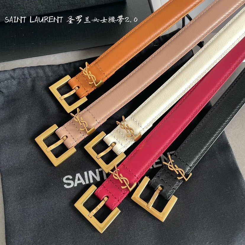 YSL belt-101