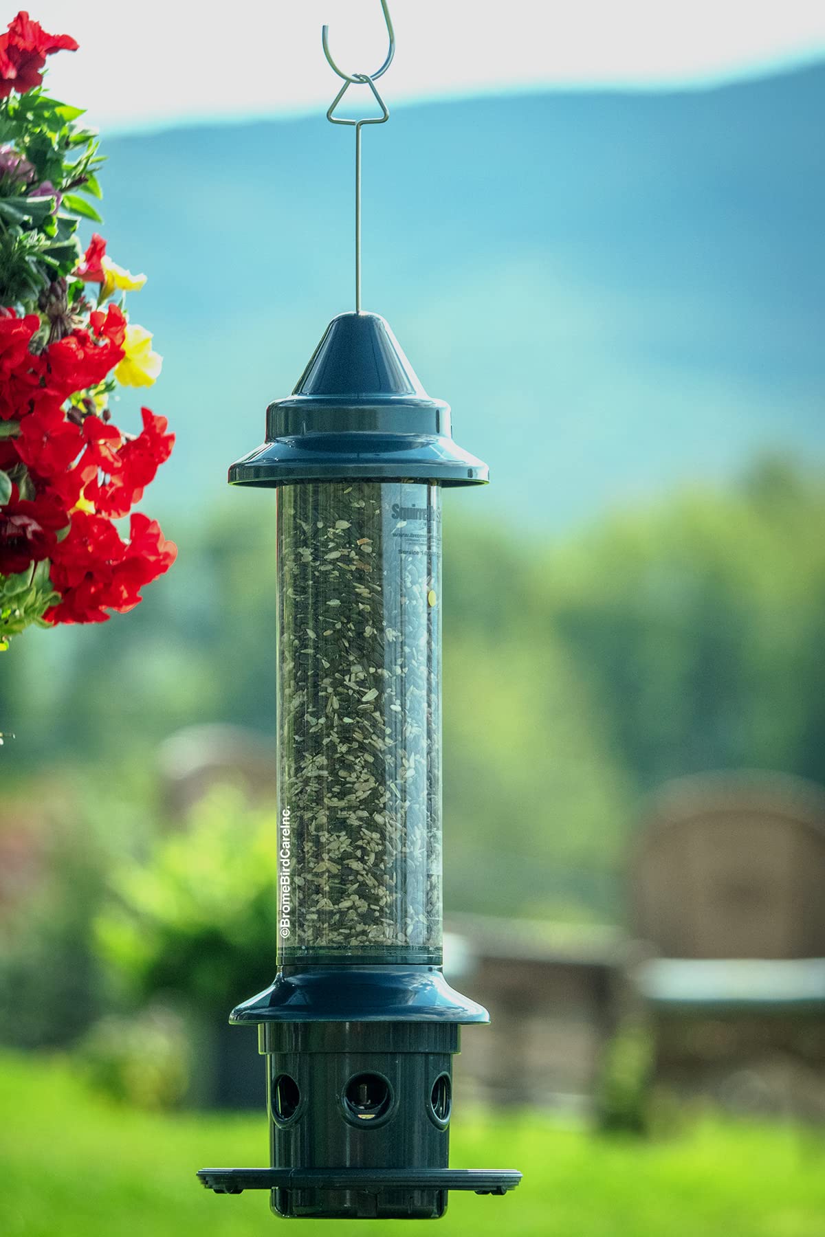 BROME Squirrel Buster Plus Bird Feeder with Cardinal Ring