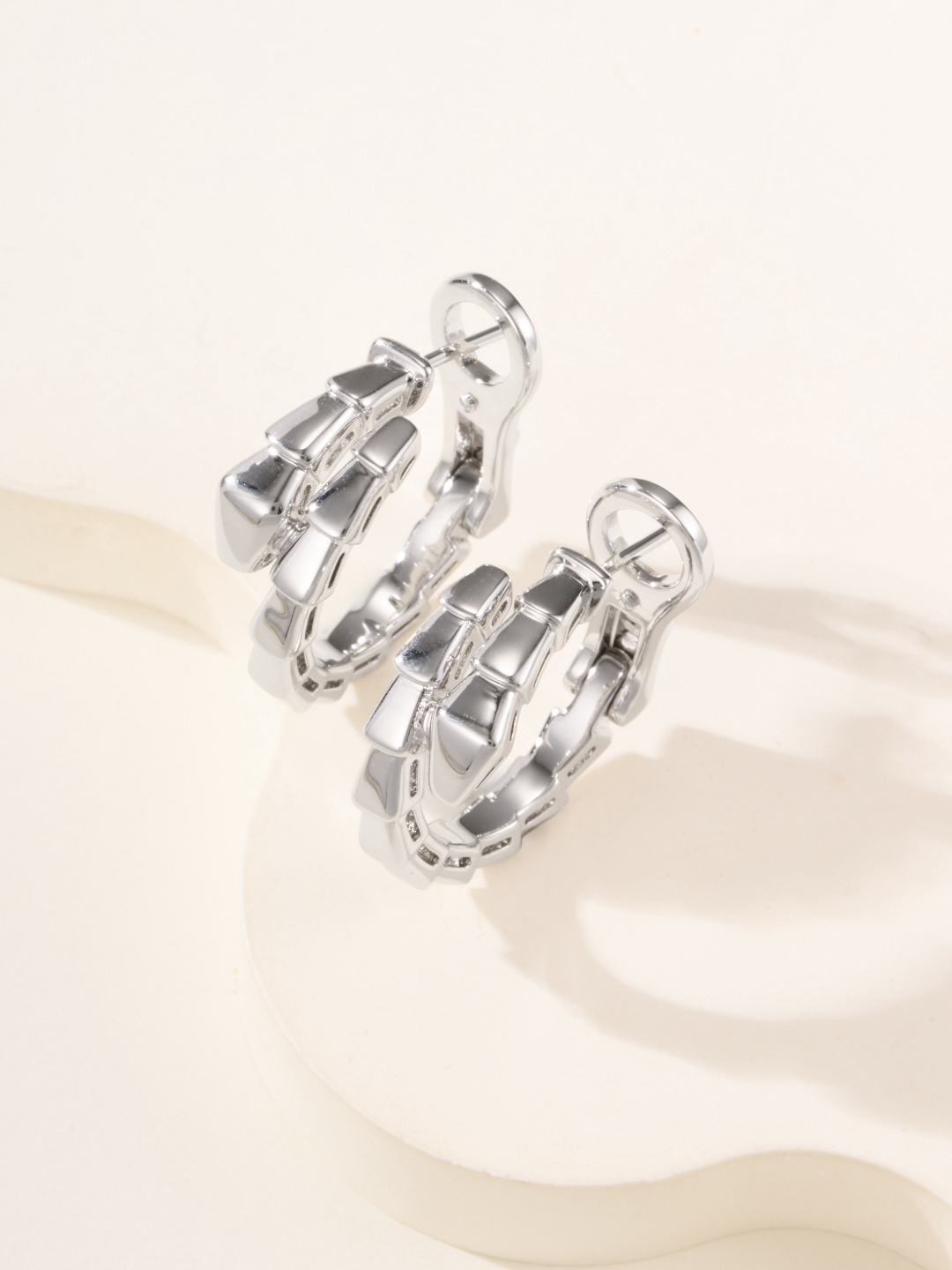 Bottega Veneta earrings-23