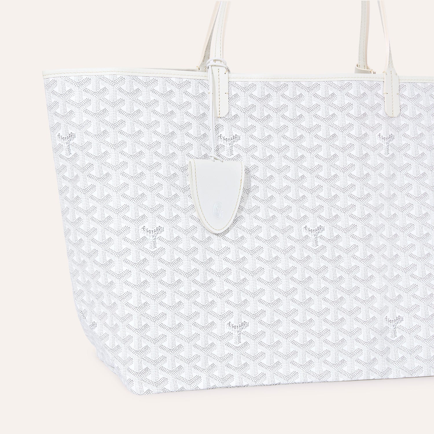 Saint Louis GM Bag