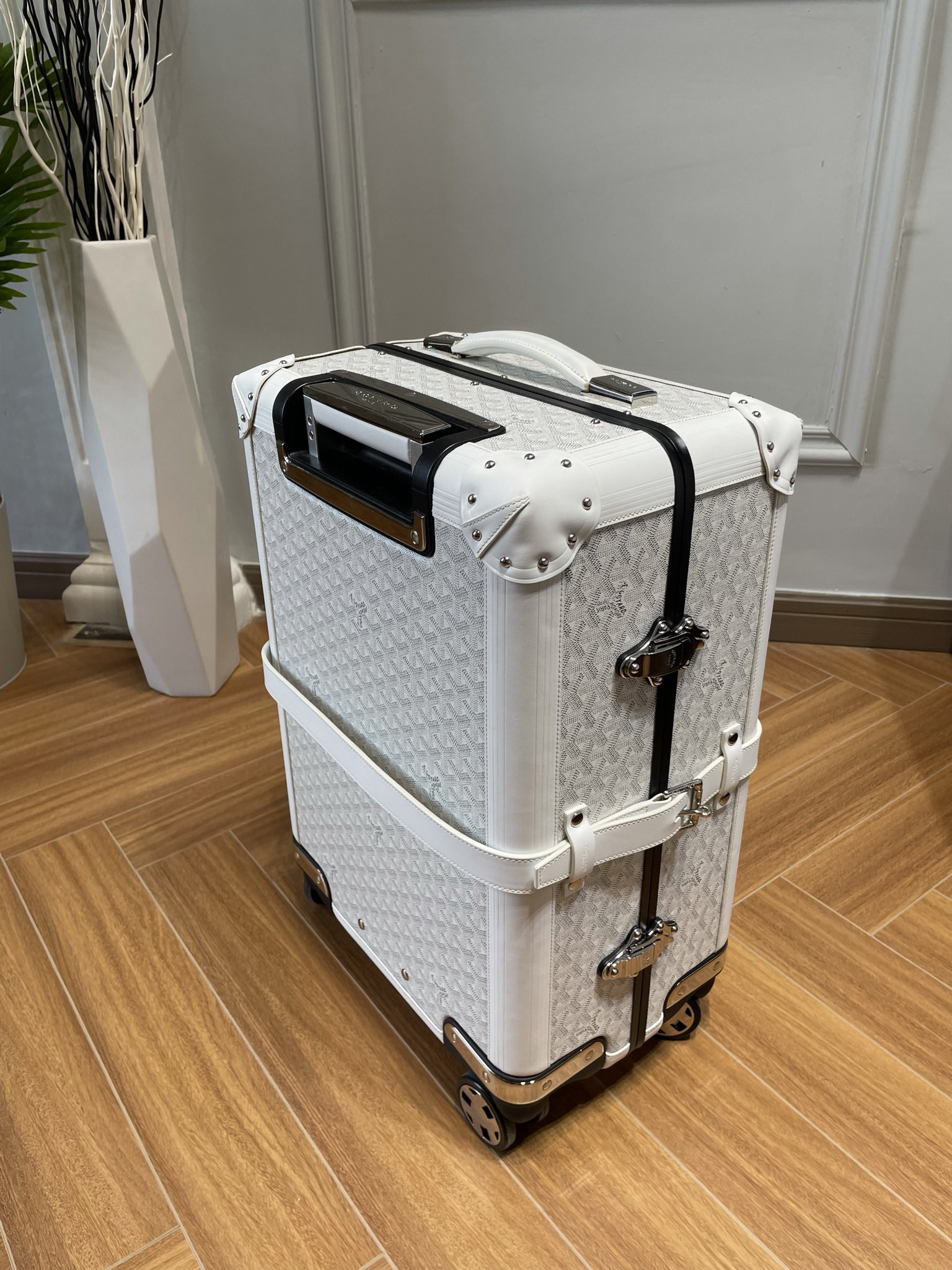 Goyard luggage-34