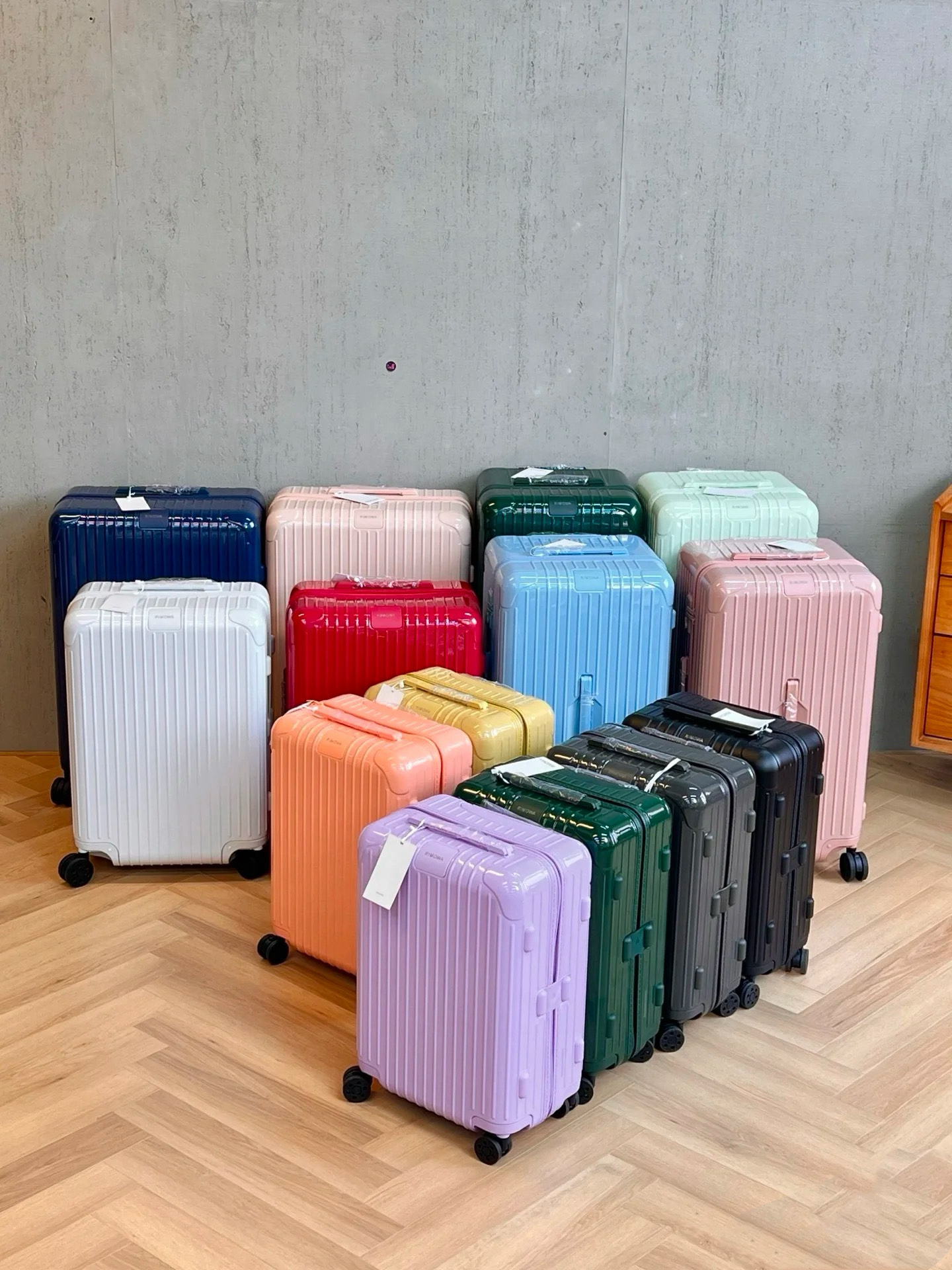 RIMOWA luggage-113