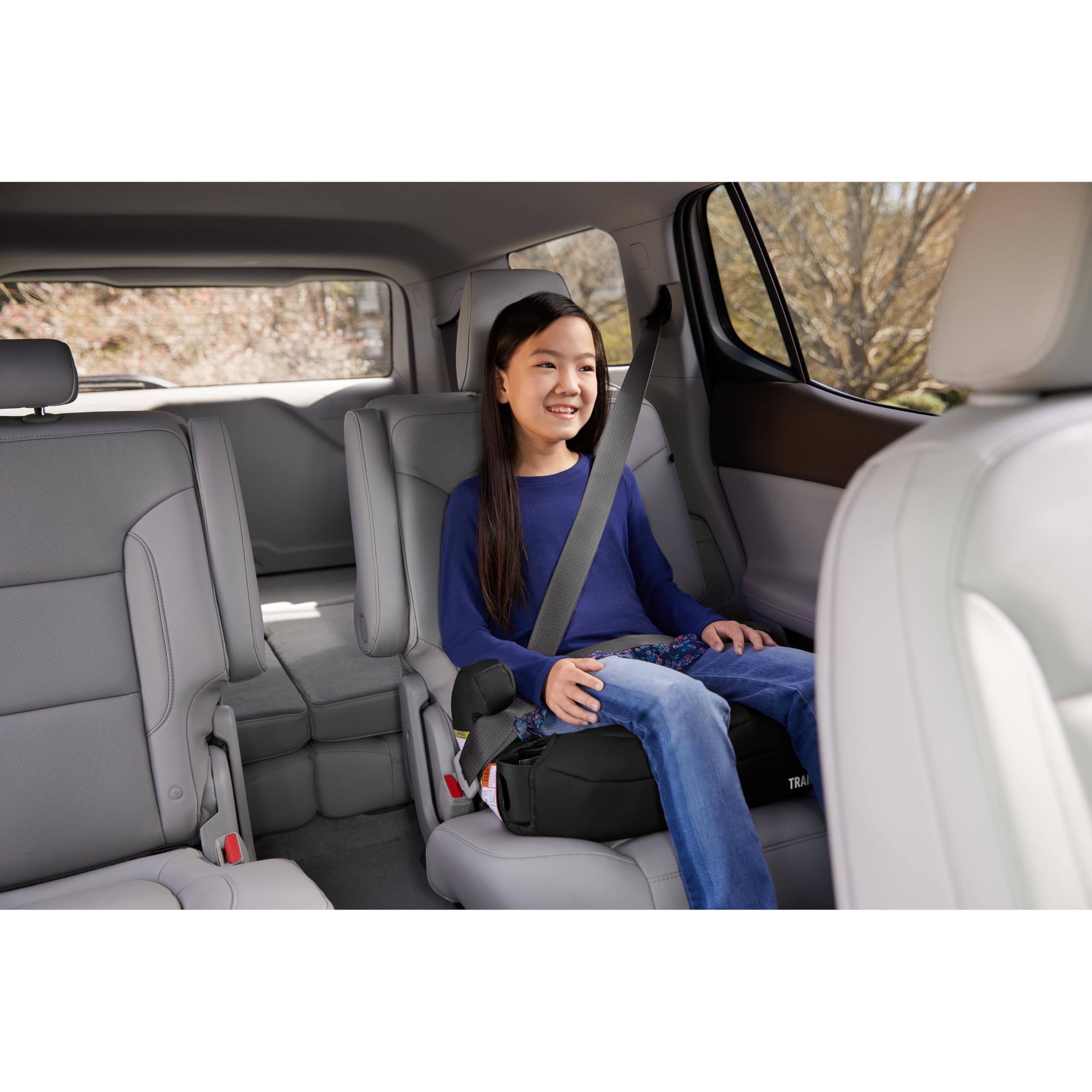 GRACO Tranzitions 3-in-1 Harness Booster Car Seat, Cinder