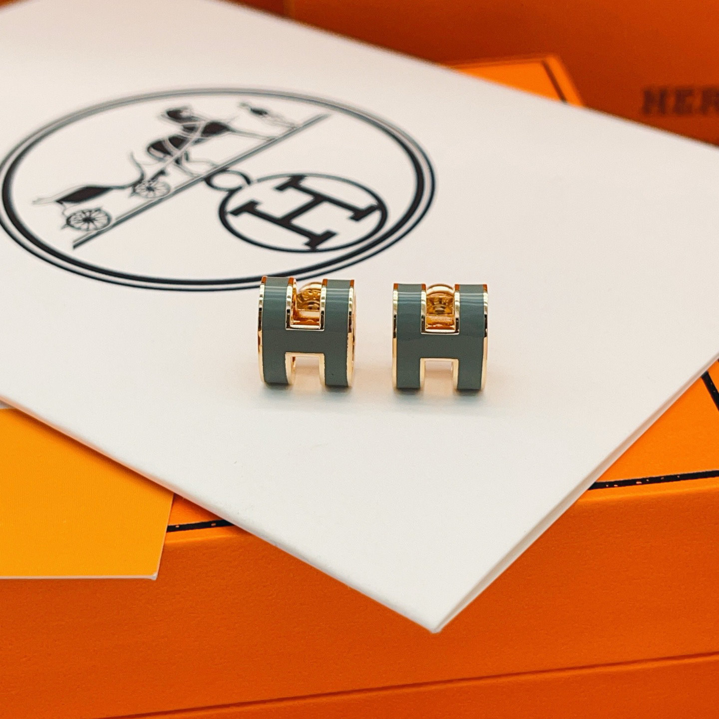 Hermes earrings-69