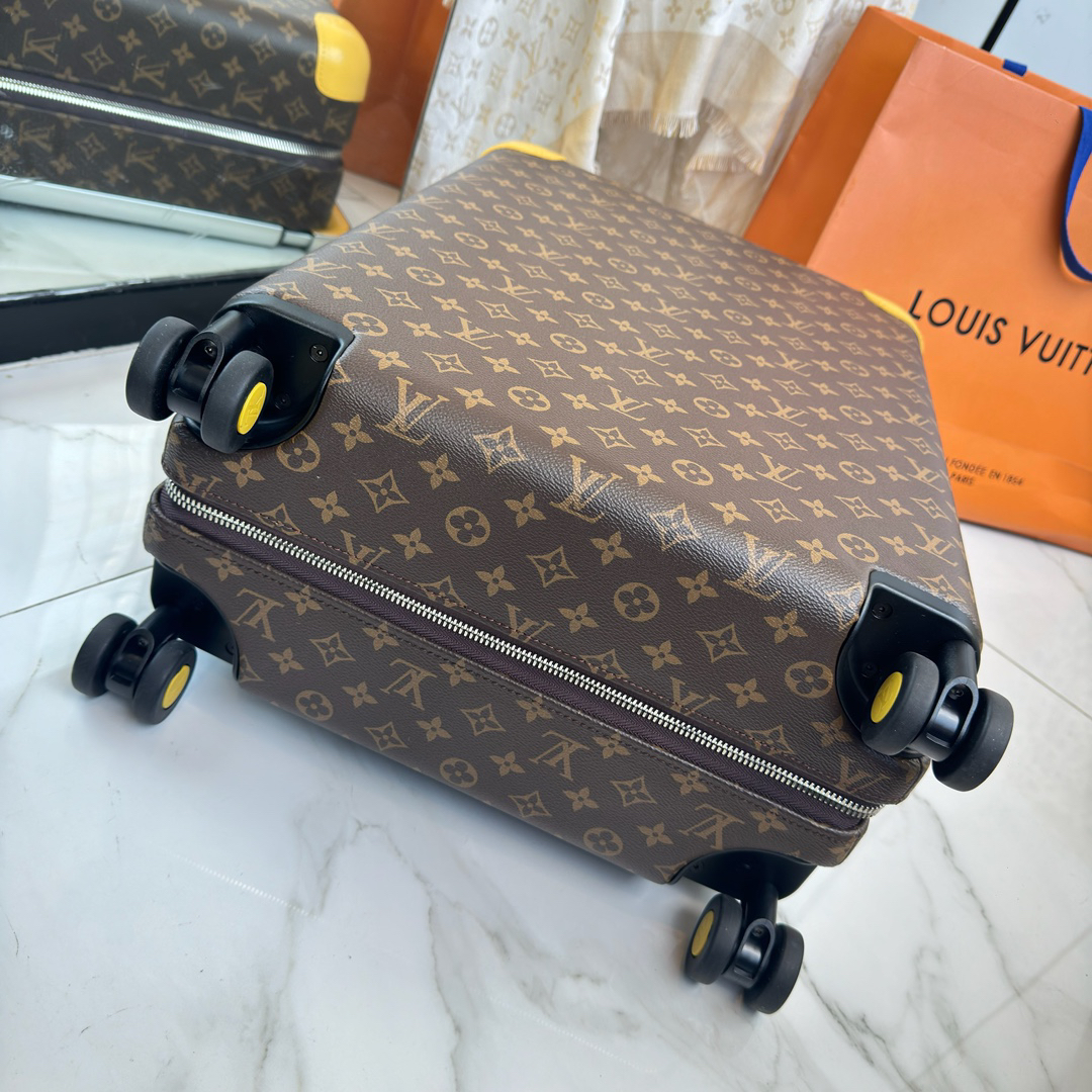 LV luggage-81