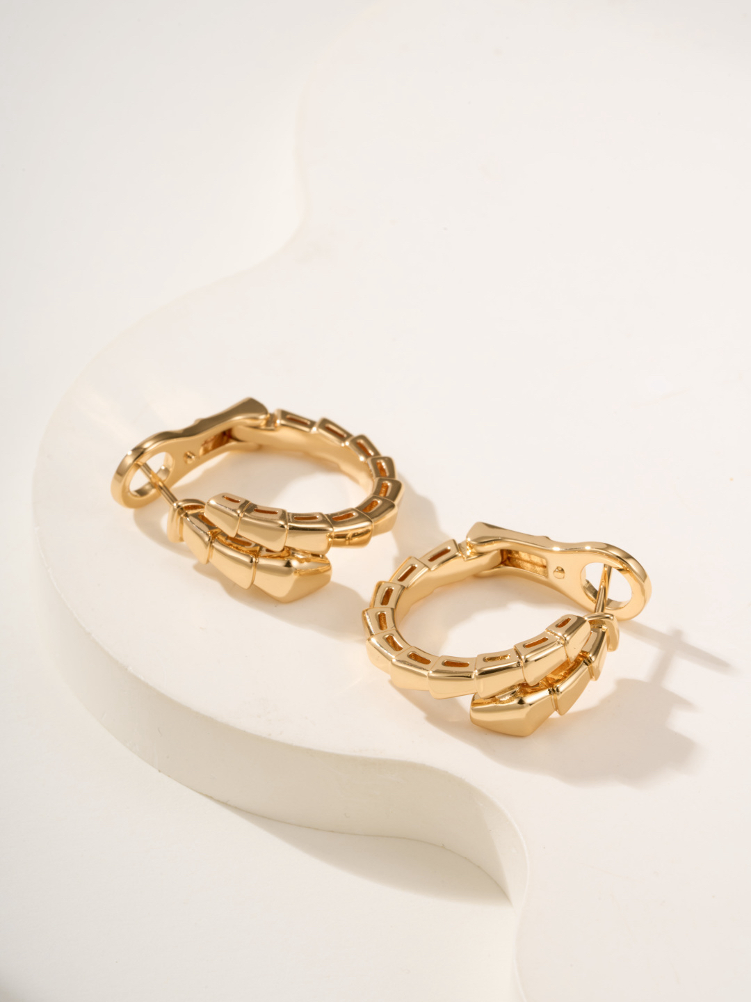Bottega Veneta earrings-23