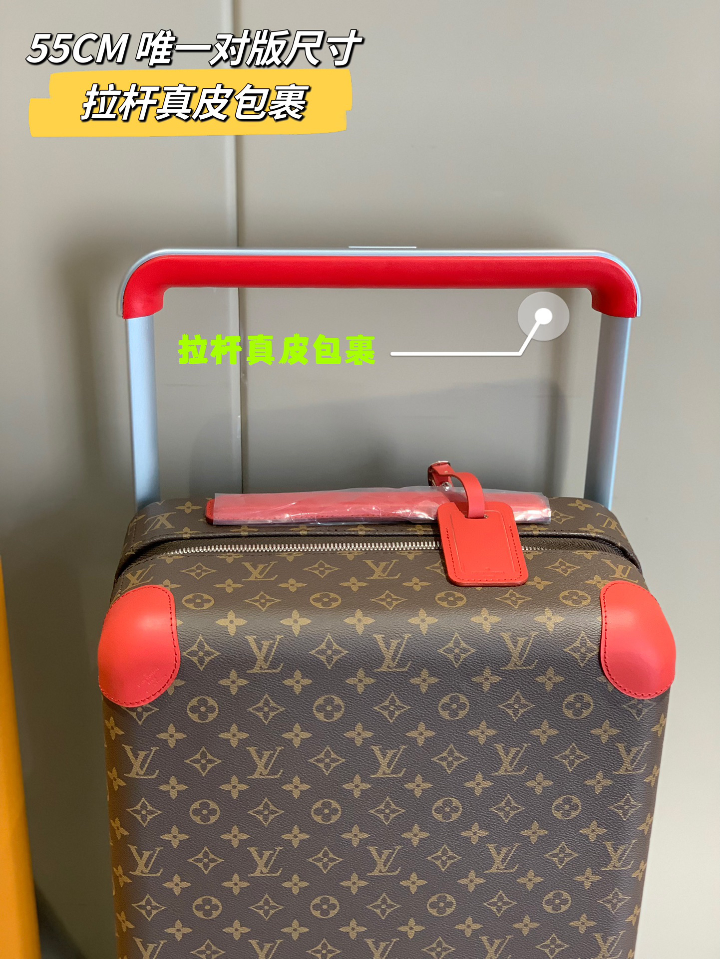 LV luggage-38