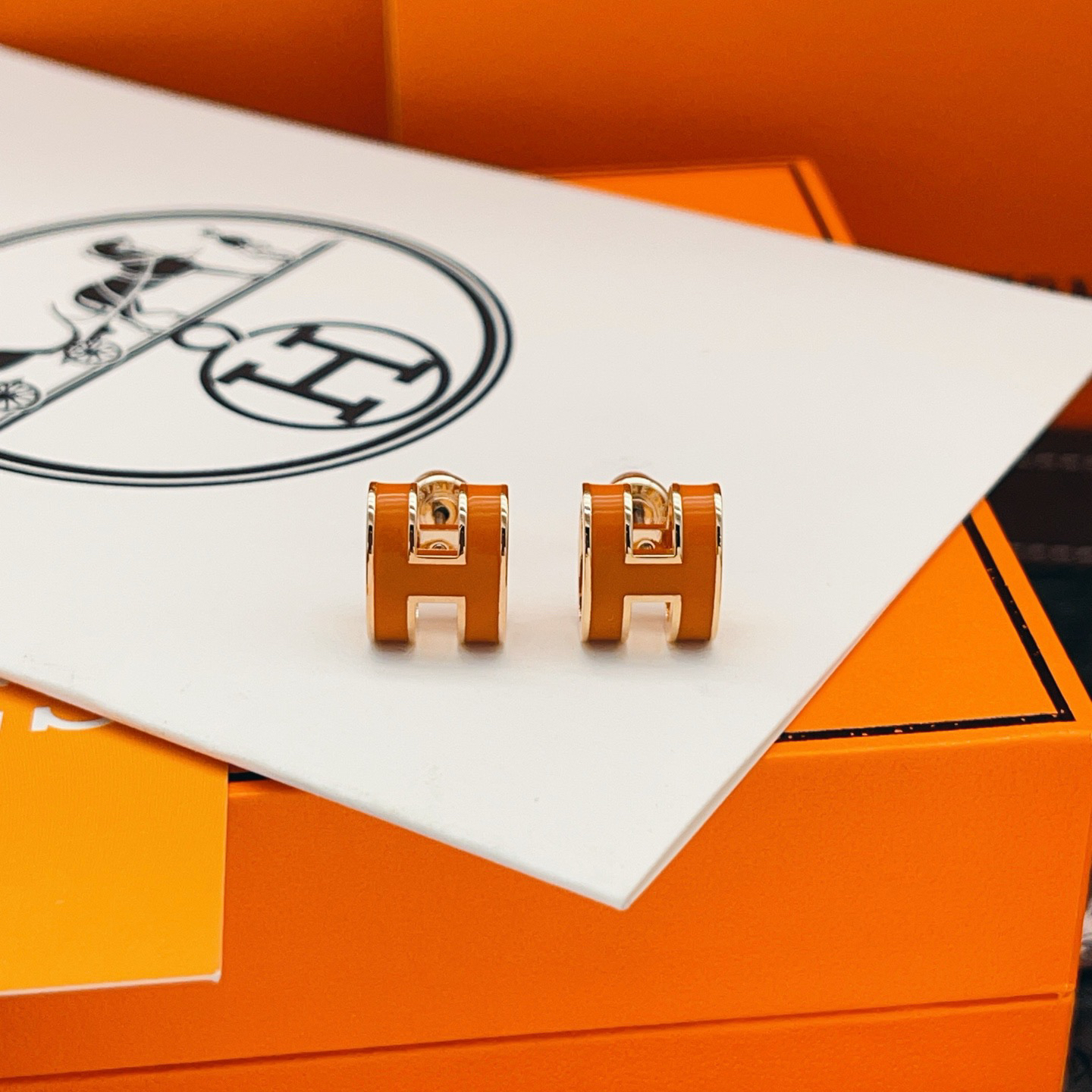 Hermes earrings-75