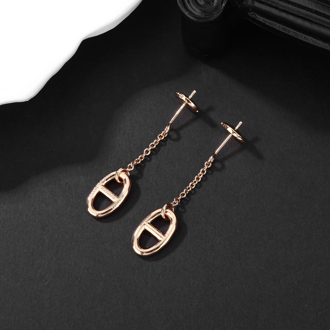 Hermes earrings-81