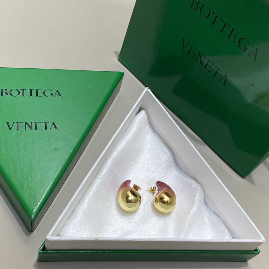 Bottega Veneta earrings-15