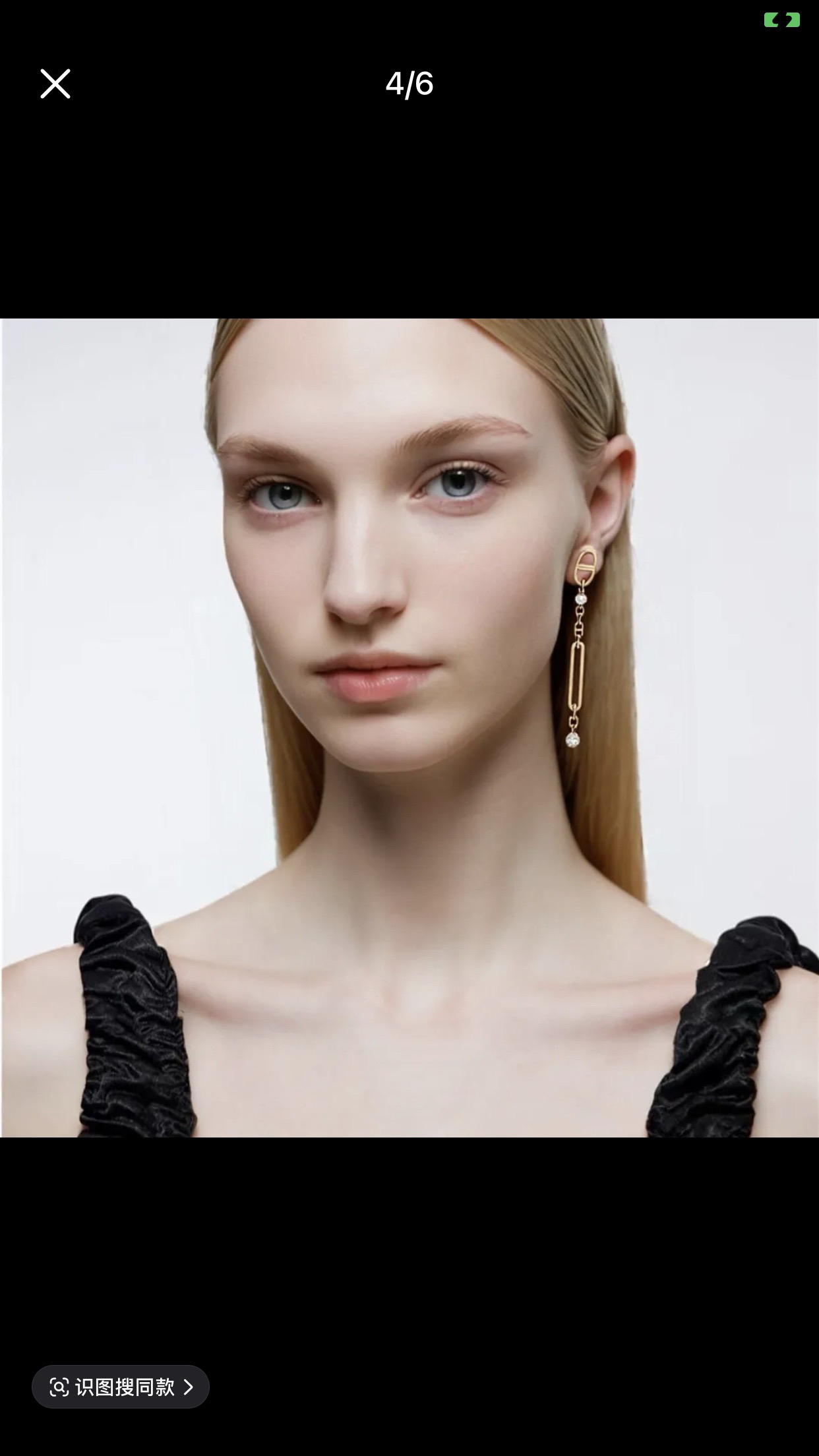 Hermes earrings-68