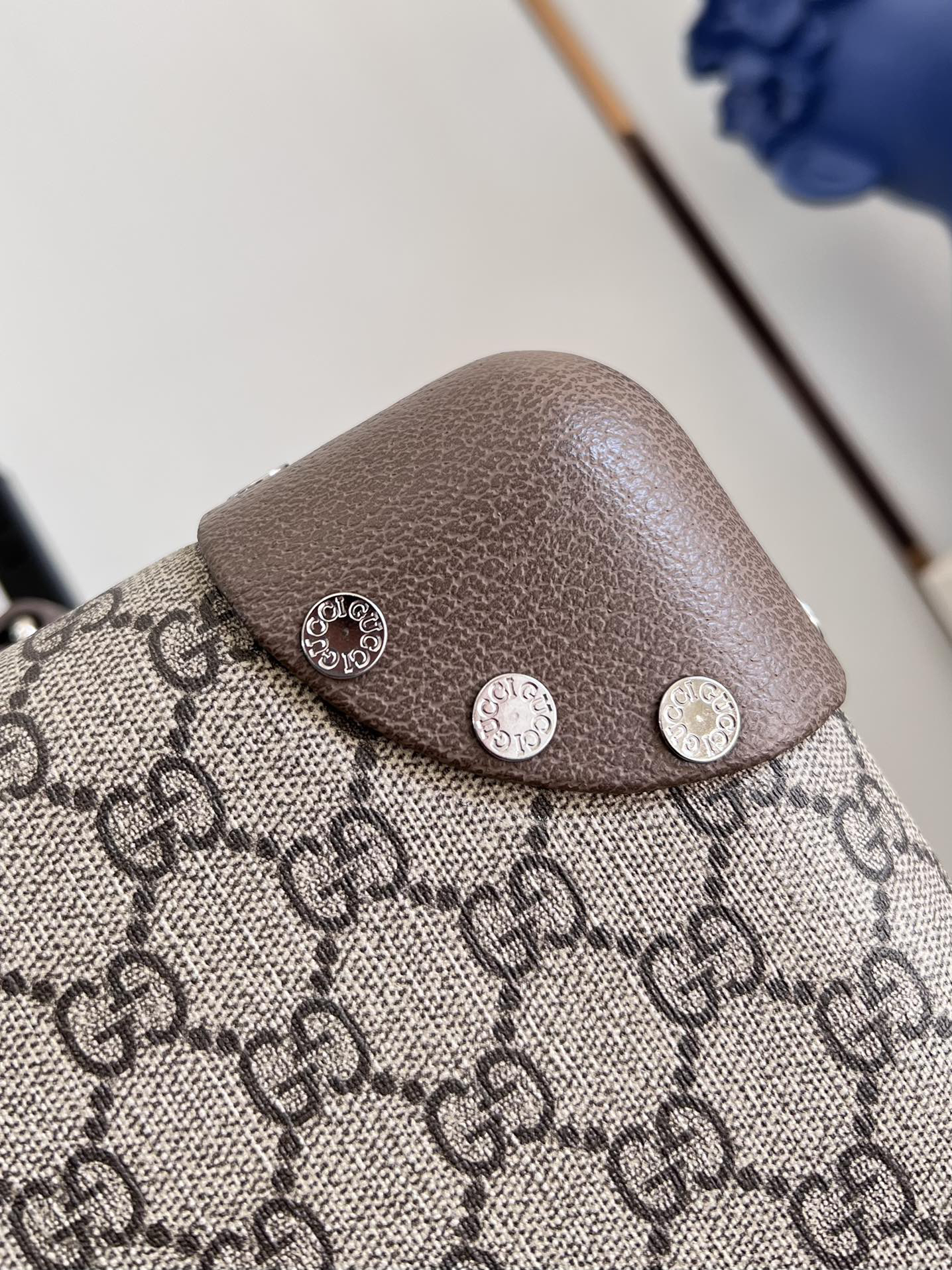 Gucci luggage-5