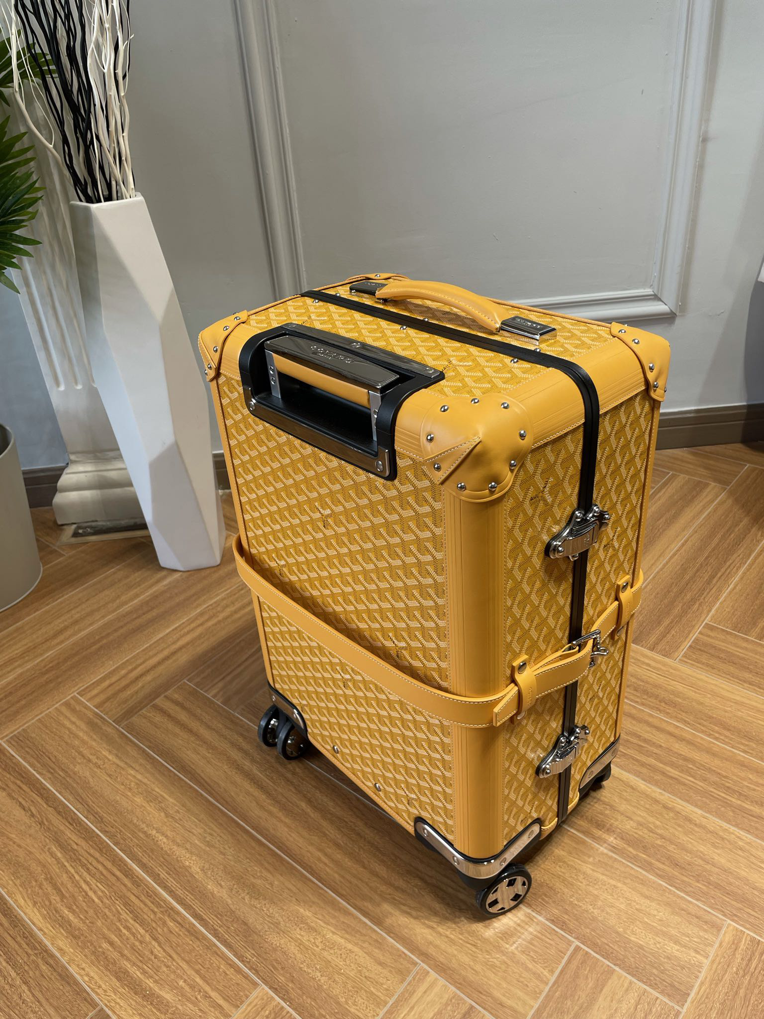 Goyard luggage-29