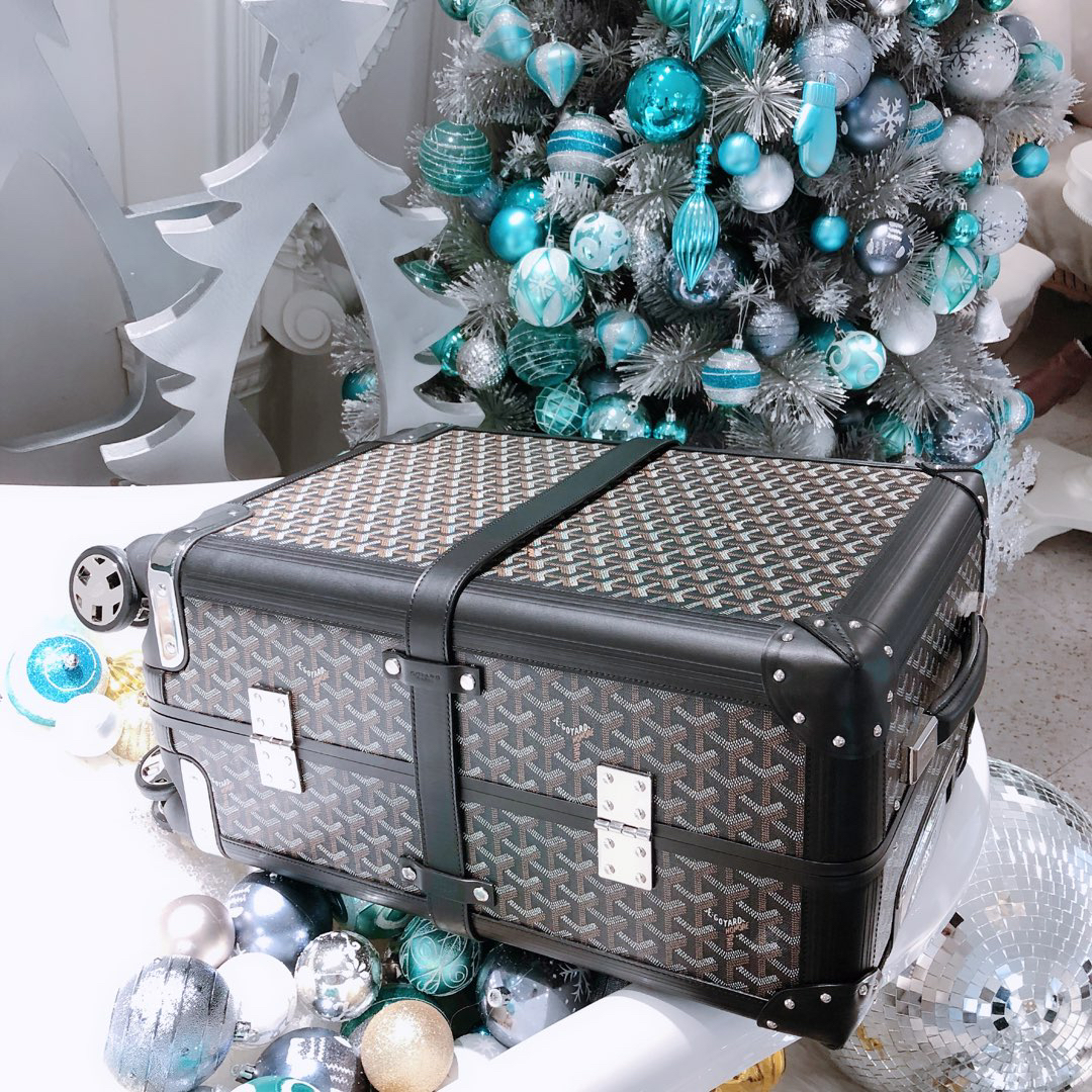 Goyard luggage-26