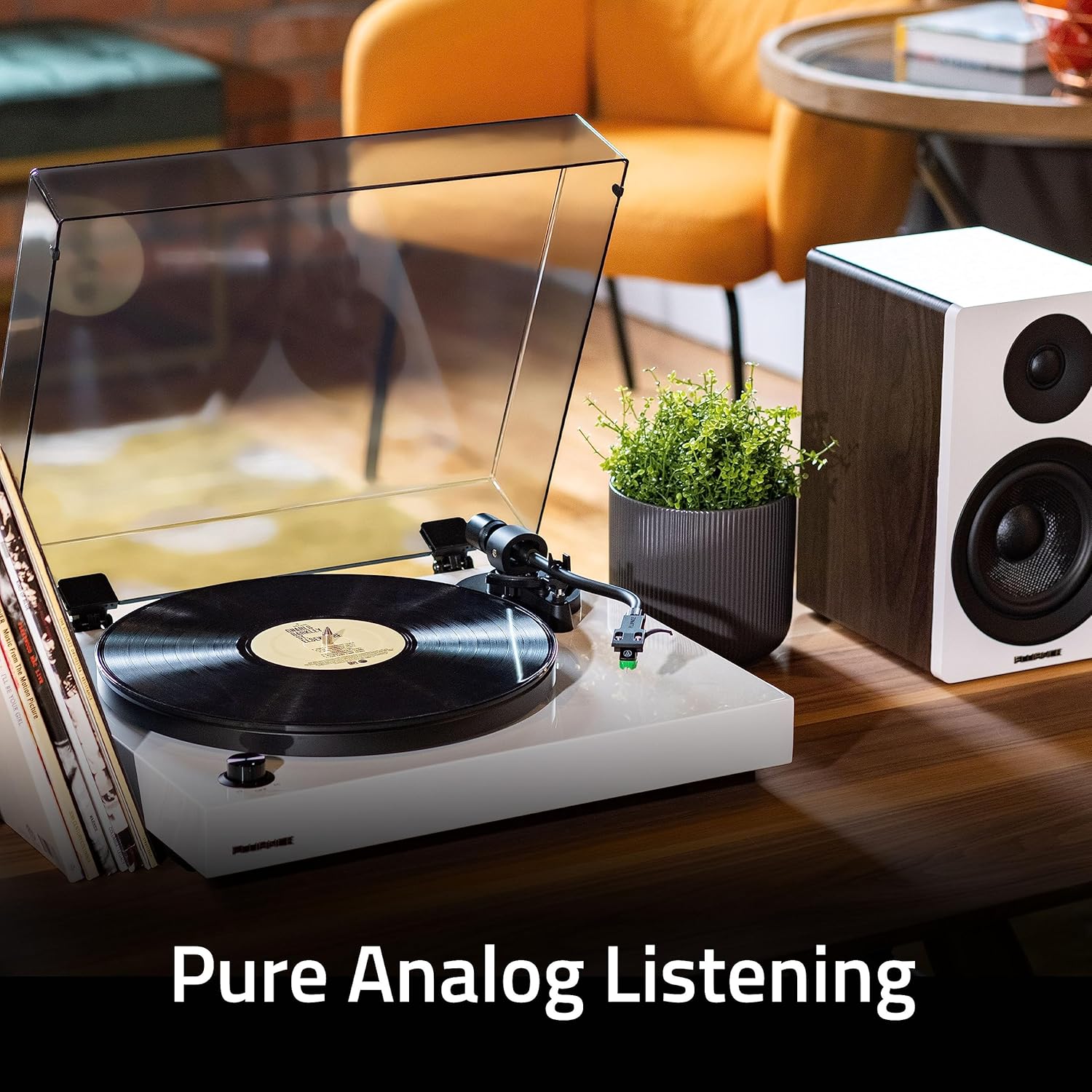 Fluance RT81+ Elite Vinyl Turntable (White) and Ai61 6.5