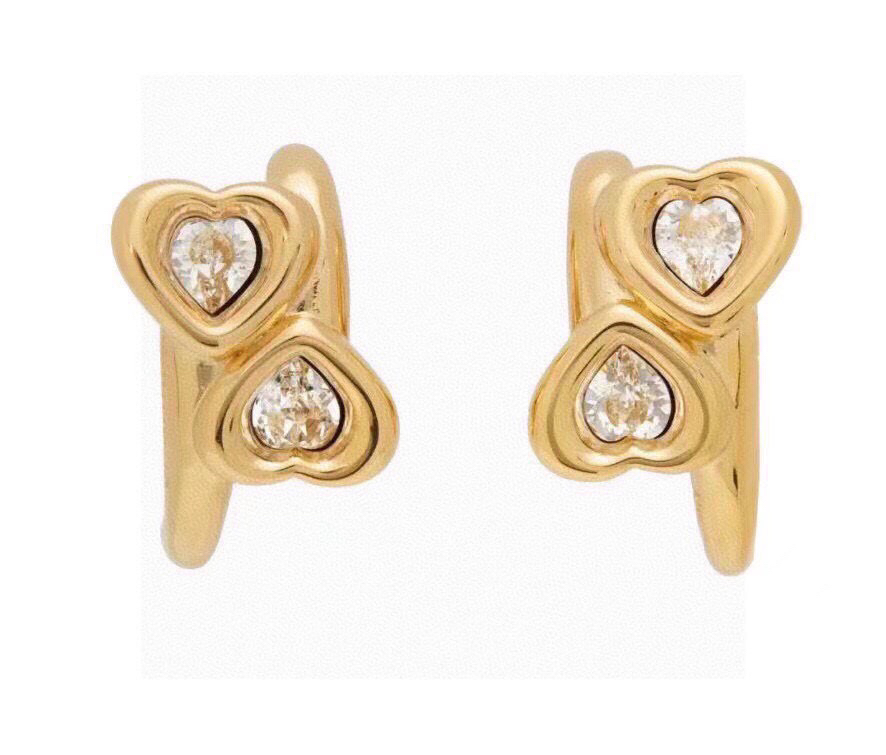 Bottega Veneta earrings-55