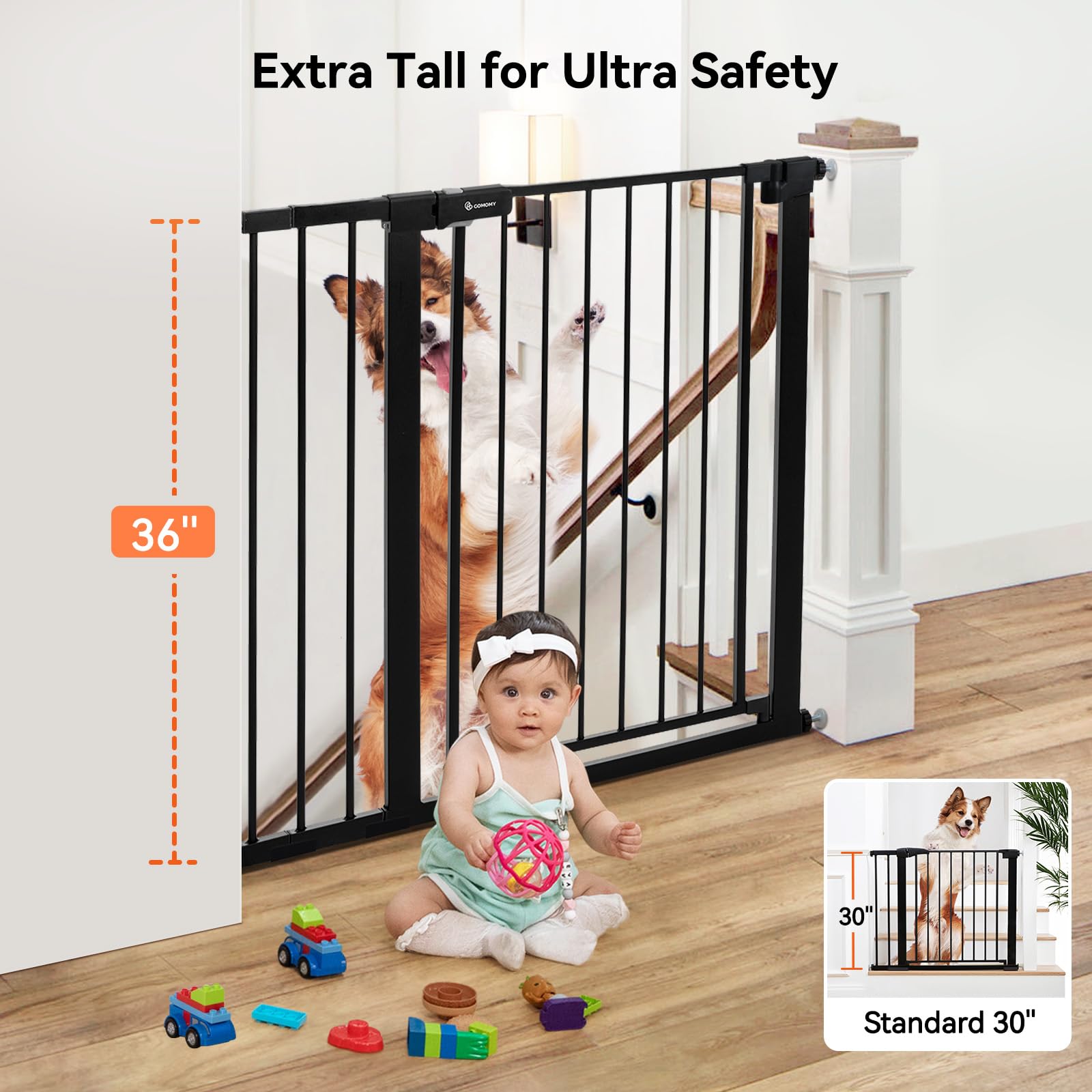 COMOMY 36