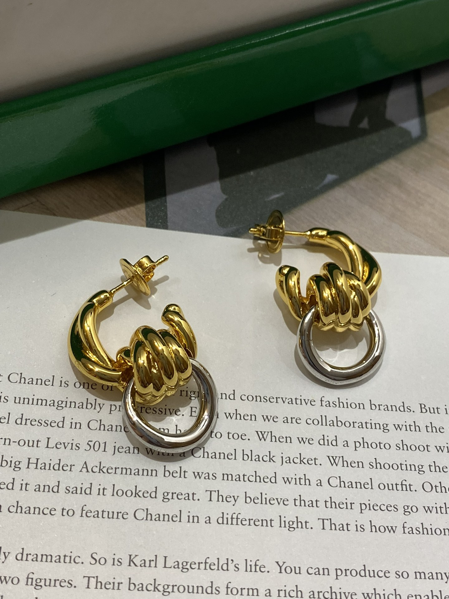 Bottega Veneta earrings-53