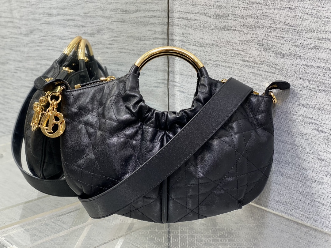 Dior bag-51