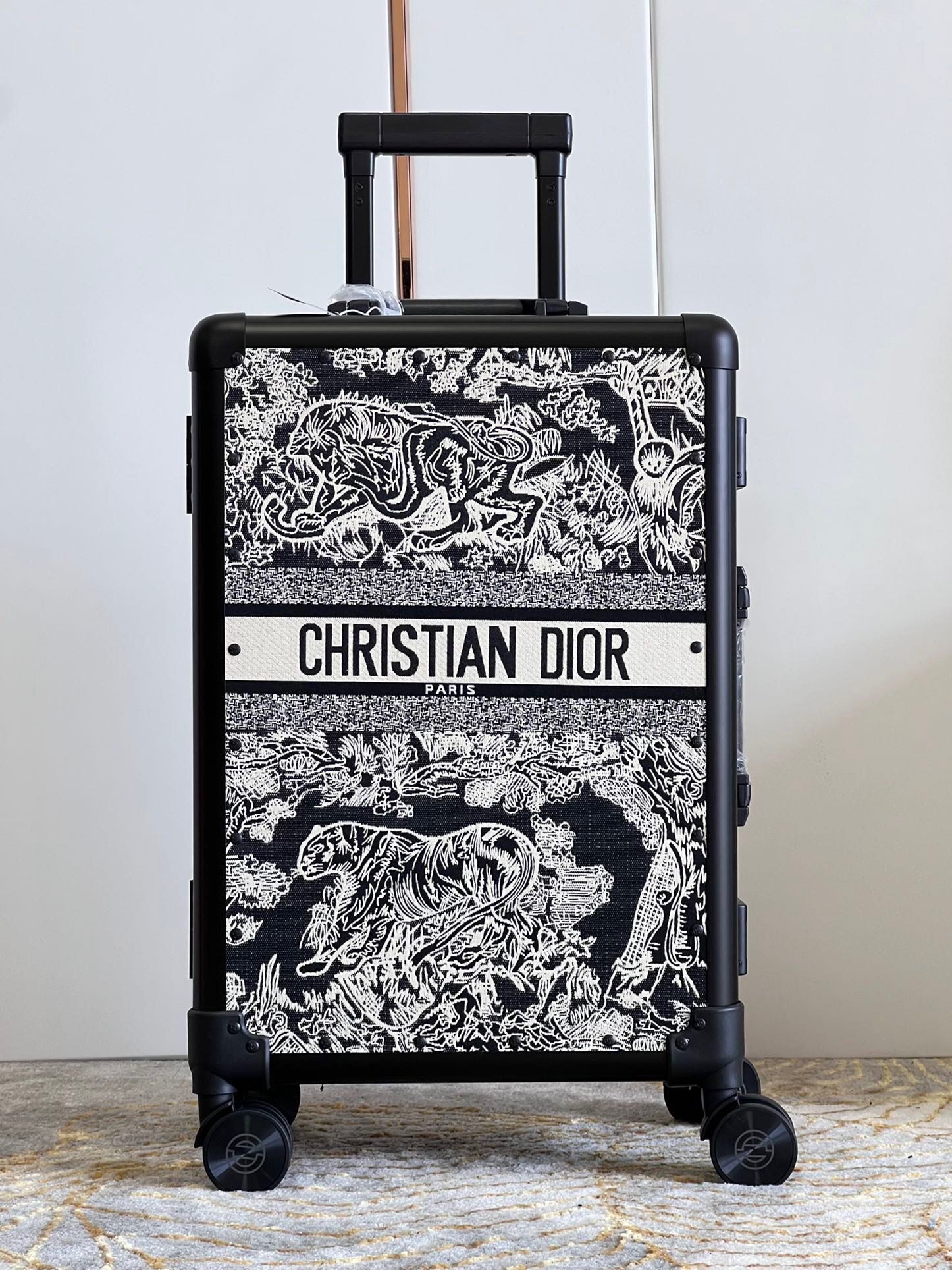 Dior luggage-30