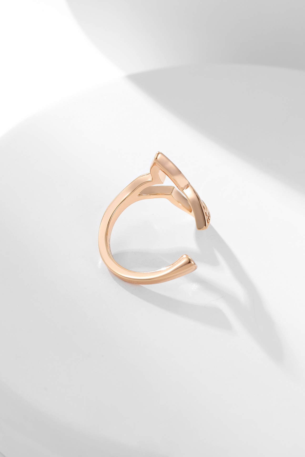 LV ring-17