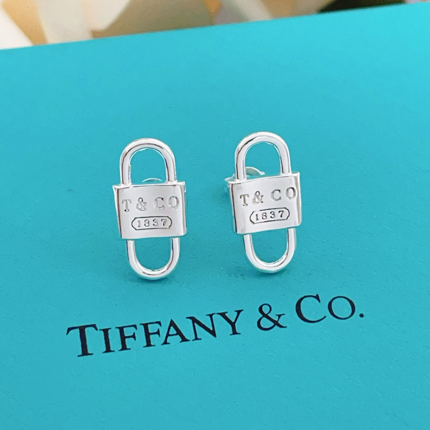 tiffany earrings-69