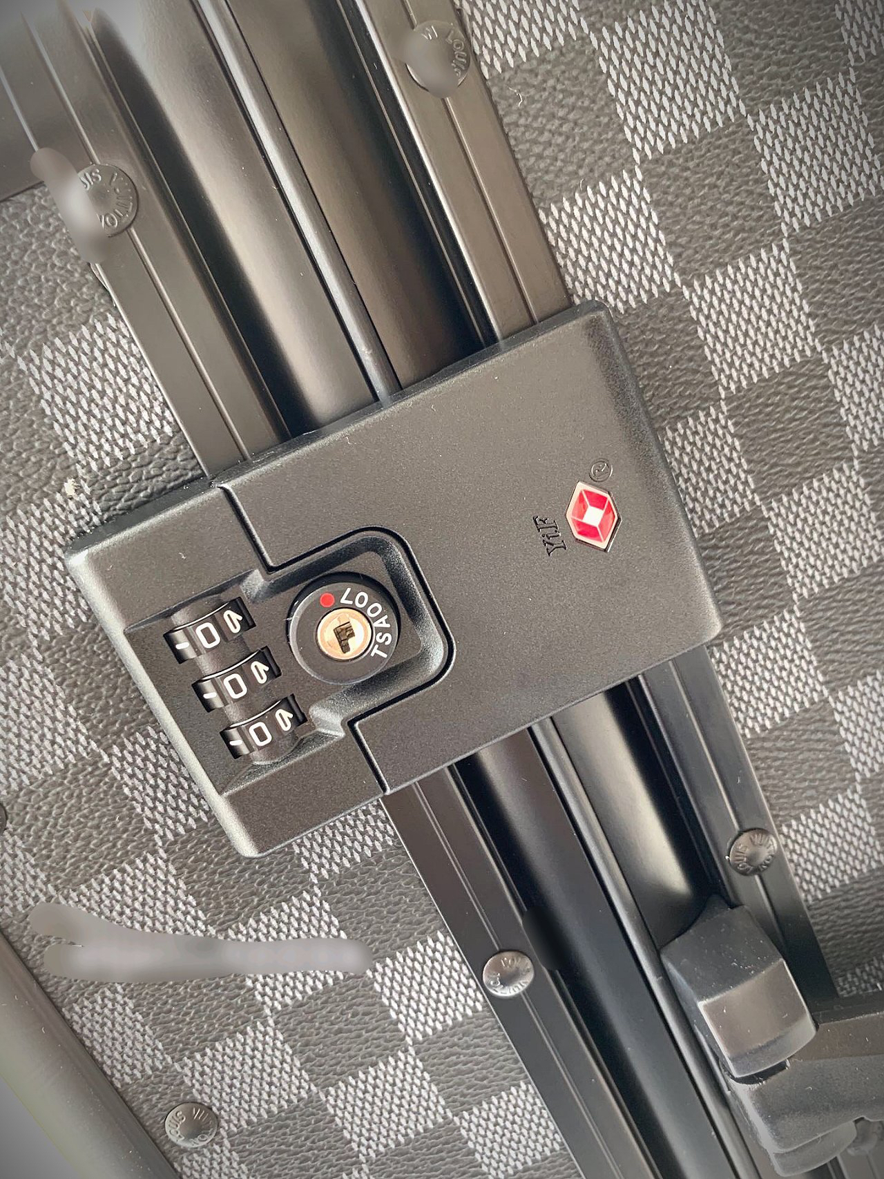 LV luggage-101