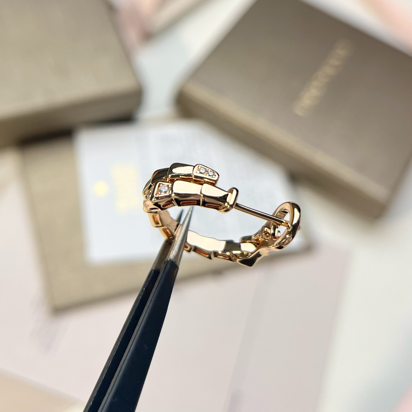 Bottega Veneta earrings-27
