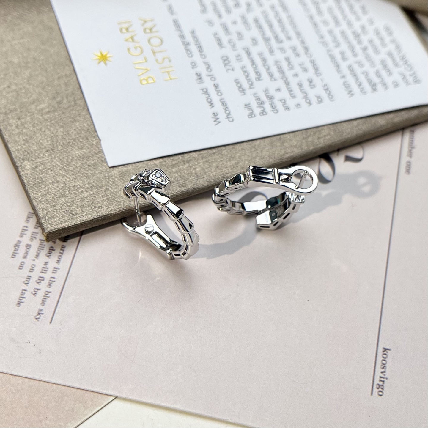 Bottega Veneta earrings-26